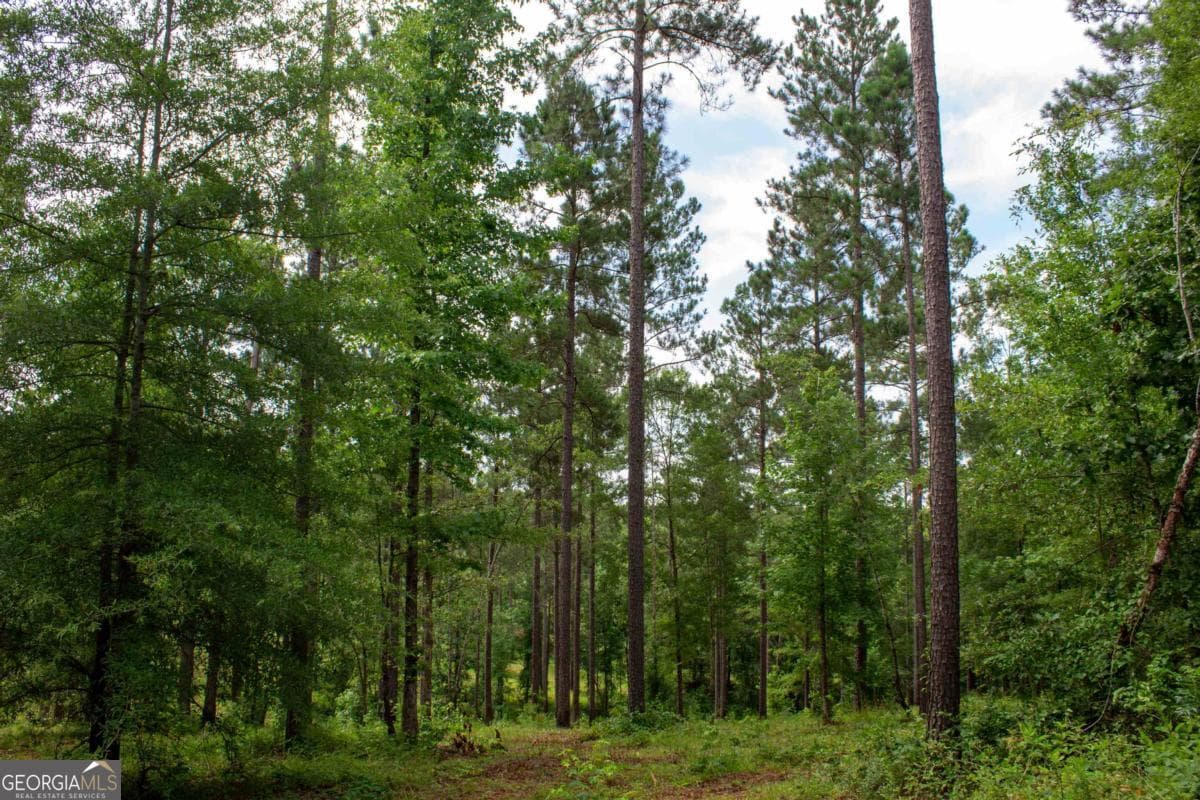 estate lot for sale at 139 Overlook Drive, Eatonton, GA 31024 — photo 1 of 10