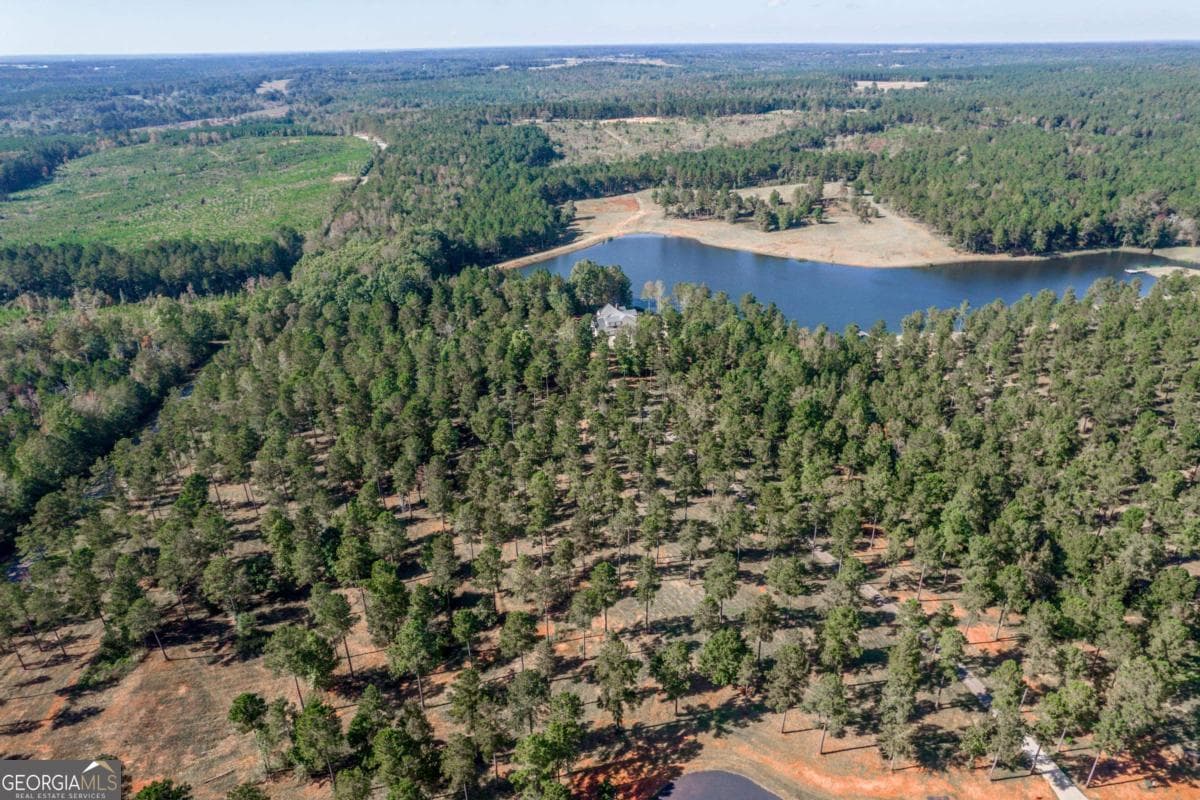 estate lot for sale at 139 Overlook Drive, Eatonton, GA 31024 — photo 4