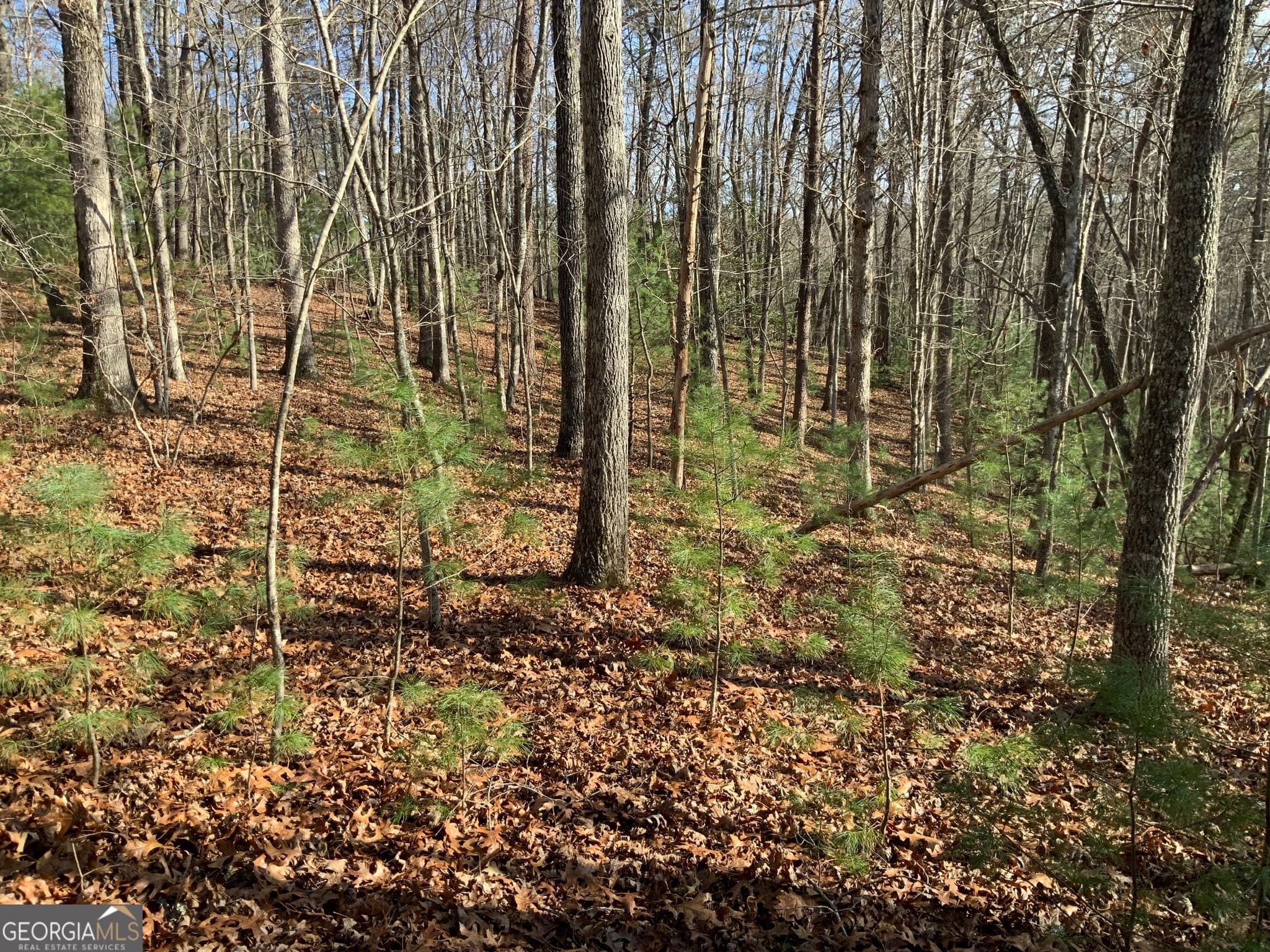 residential lot for sale at 0 FIGHTINGTOWN CREEK, Mccaysville, GA 30555 — photo 6