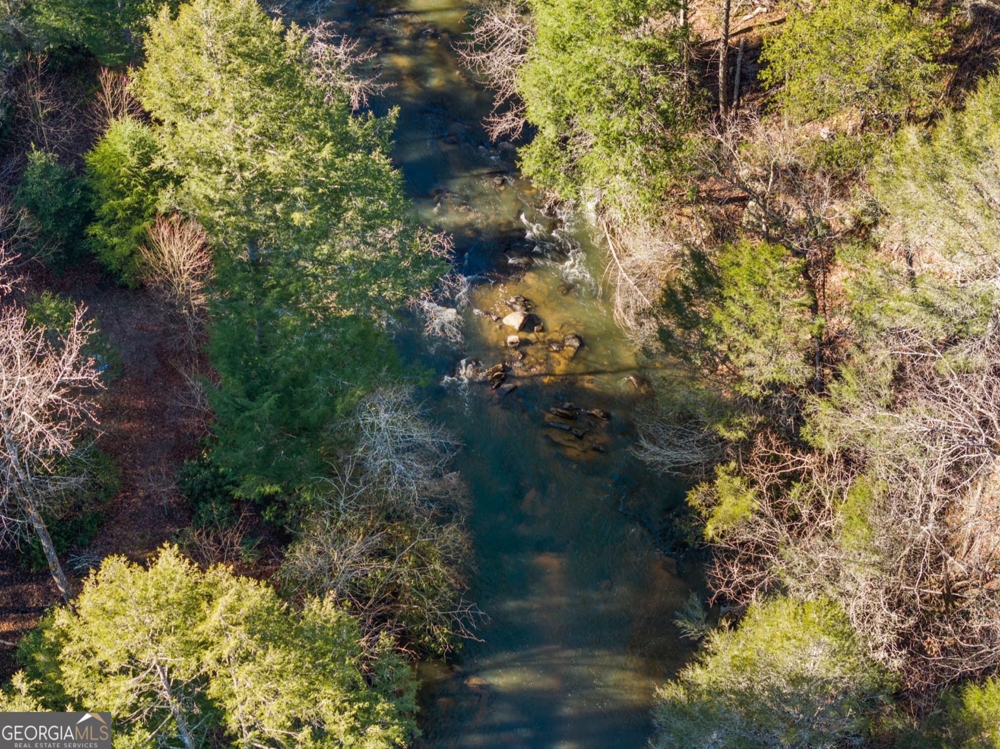 residential lot for sale at 0 FIGHTINGTOWN CREEK, Mccaysville, GA 30555 — photo 3