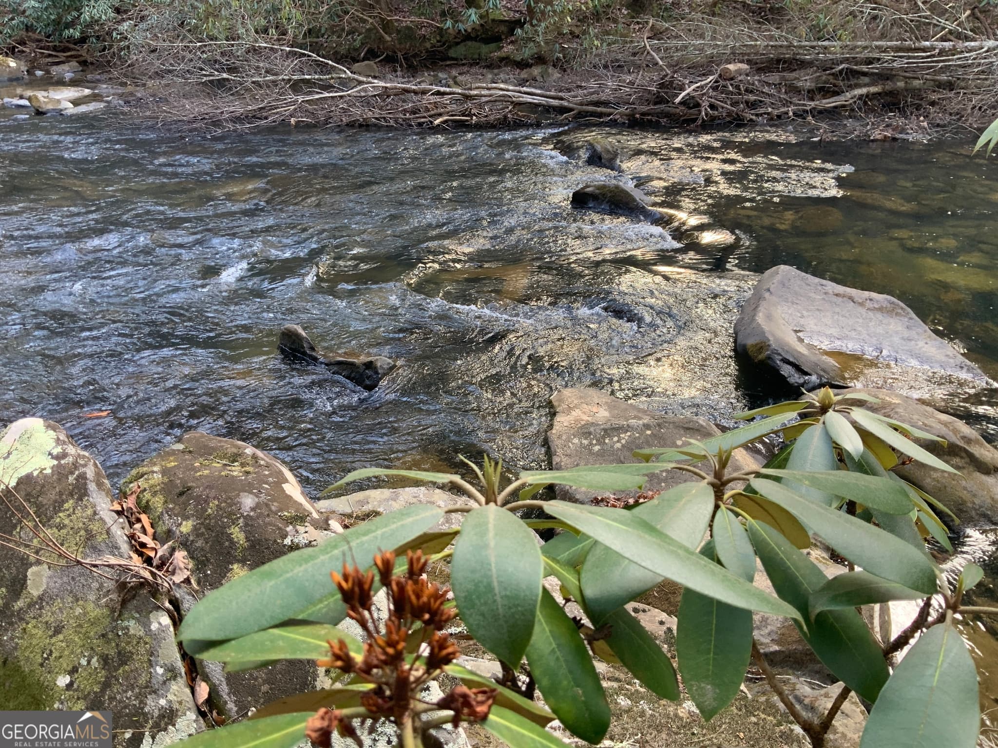 residential lot for sale at 0 FIGHTINGTOWN CREEK, Mccaysville, GA 30555 — photo 5