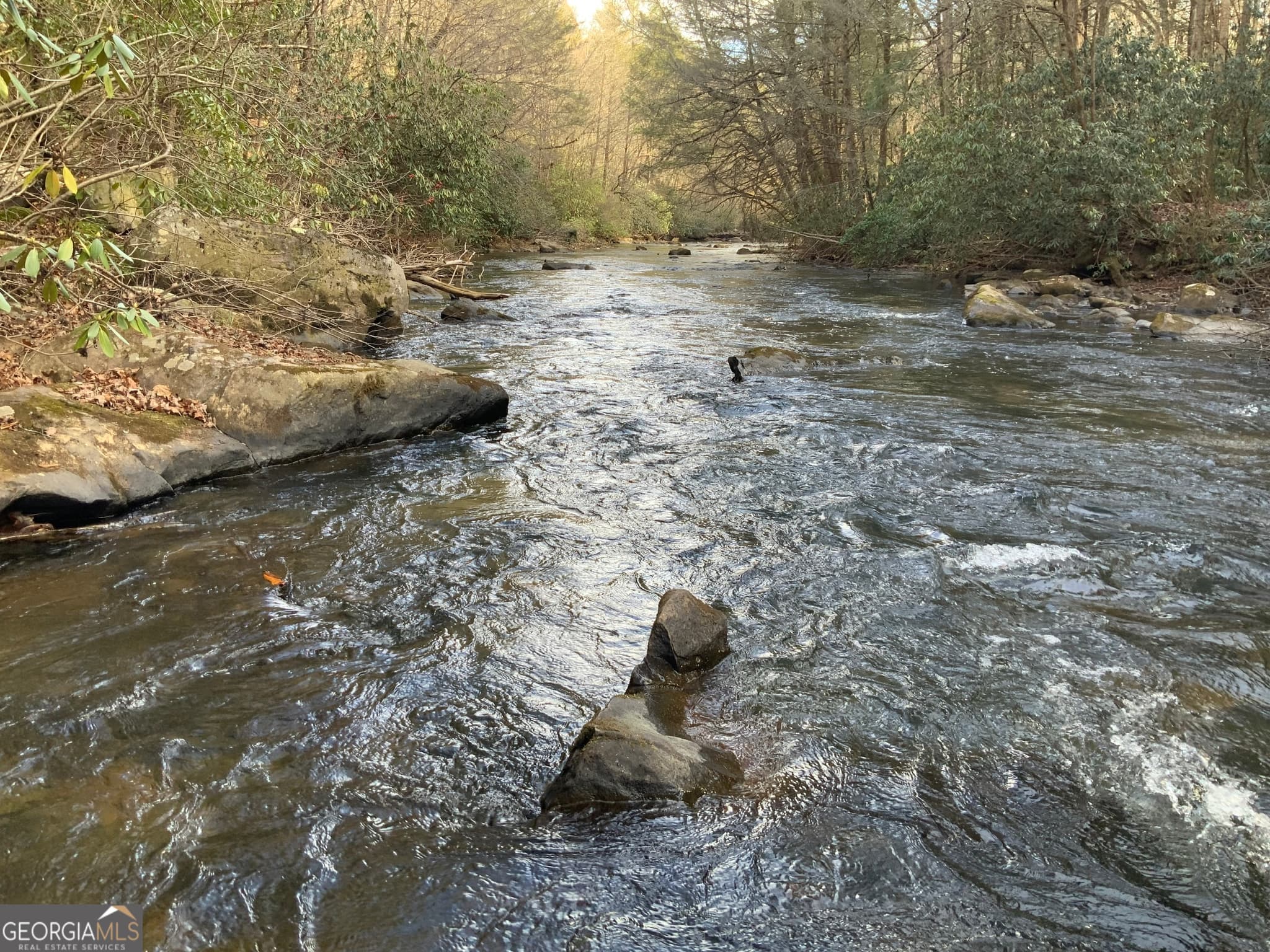 residential lot for sale at 0 FIGHTINGTOWN CREEK, Mccaysville, GA 30555 — photo 4