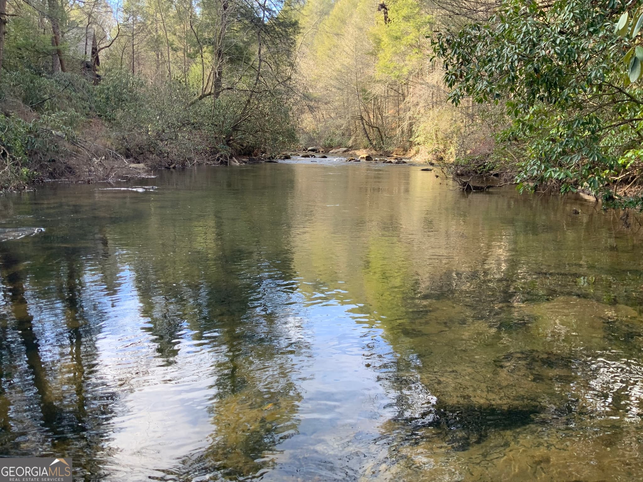 residential lot for sale at 0 FIGHTINGTOWN CREEK, Mccaysville, GA 30555 — photo 8