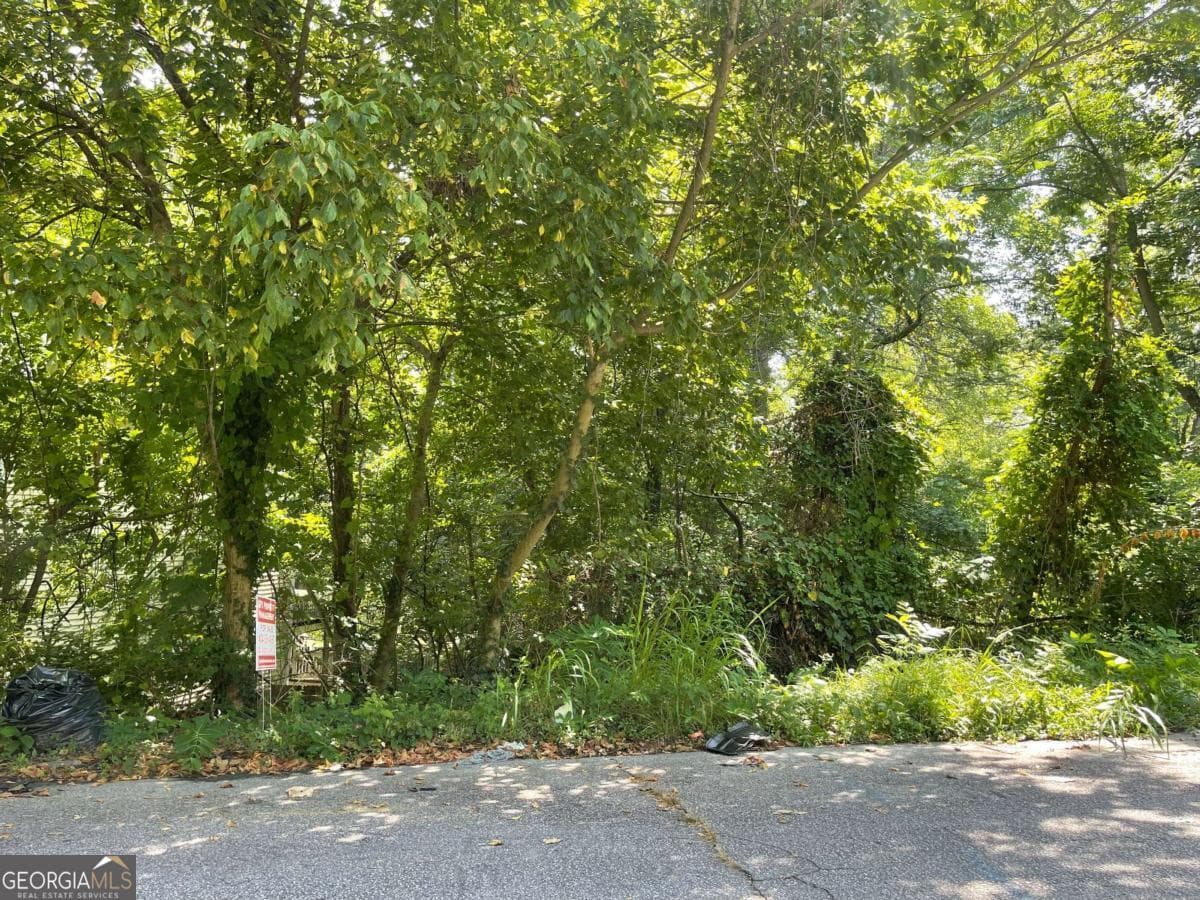 residential lot for sale at 0 Cato Street, Atlanta, GA 30318 — photo 3