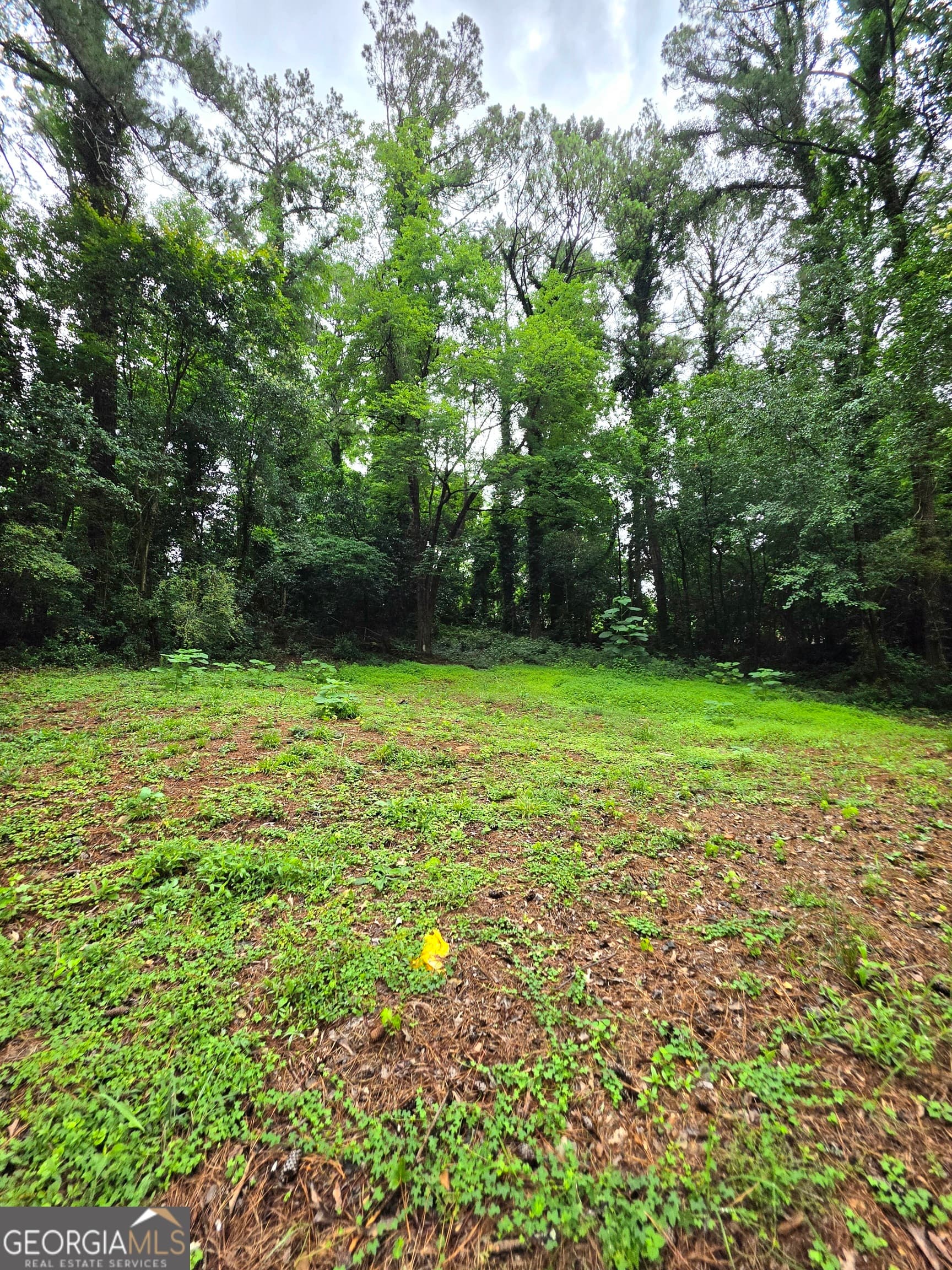 residential lot for sale at 618 Simone Way, Stone Mountain, GA 30087 — photo 6