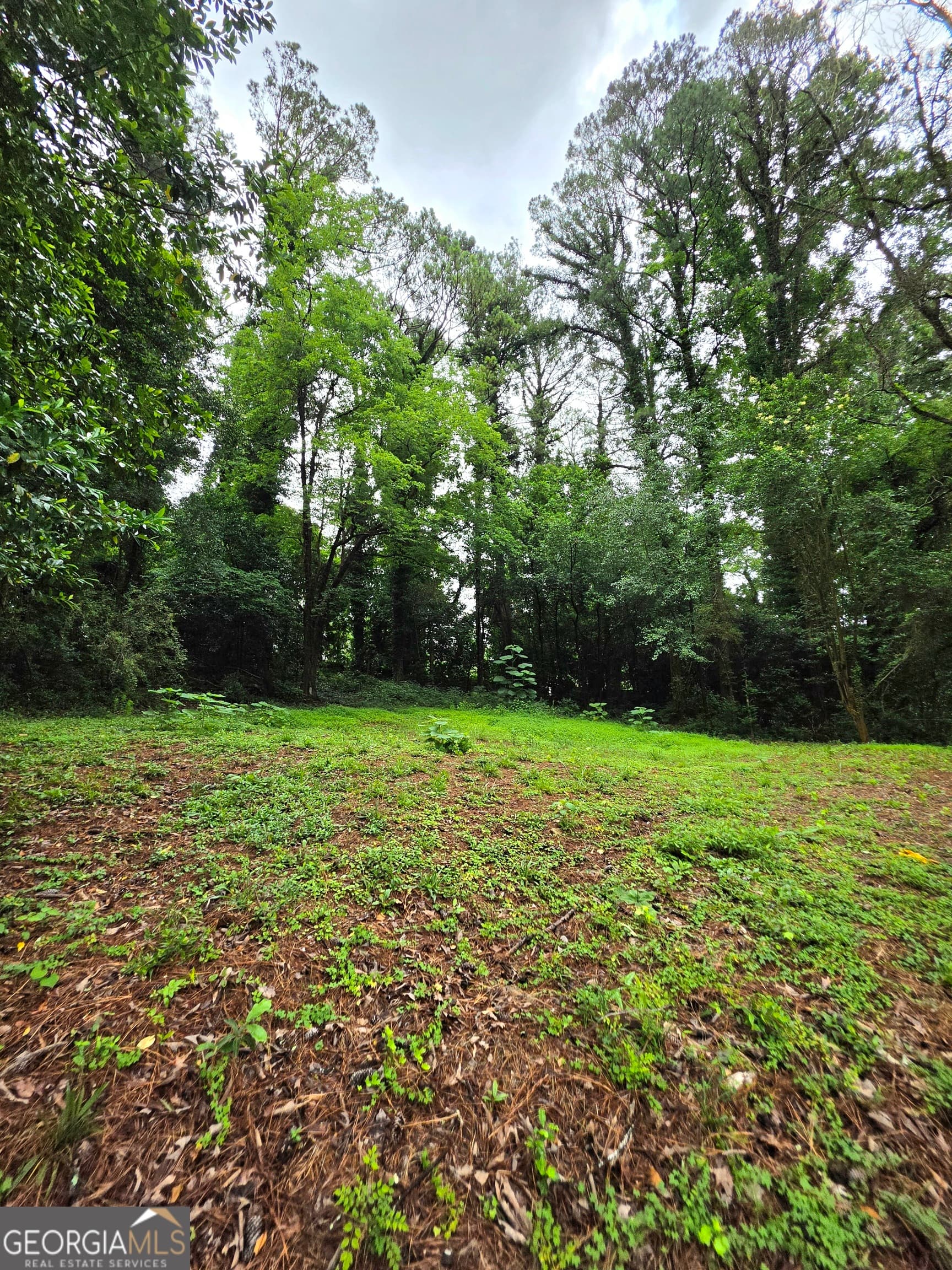 residential lot for sale at 618 Simone Way, Stone Mountain, GA 30087 — photo 10