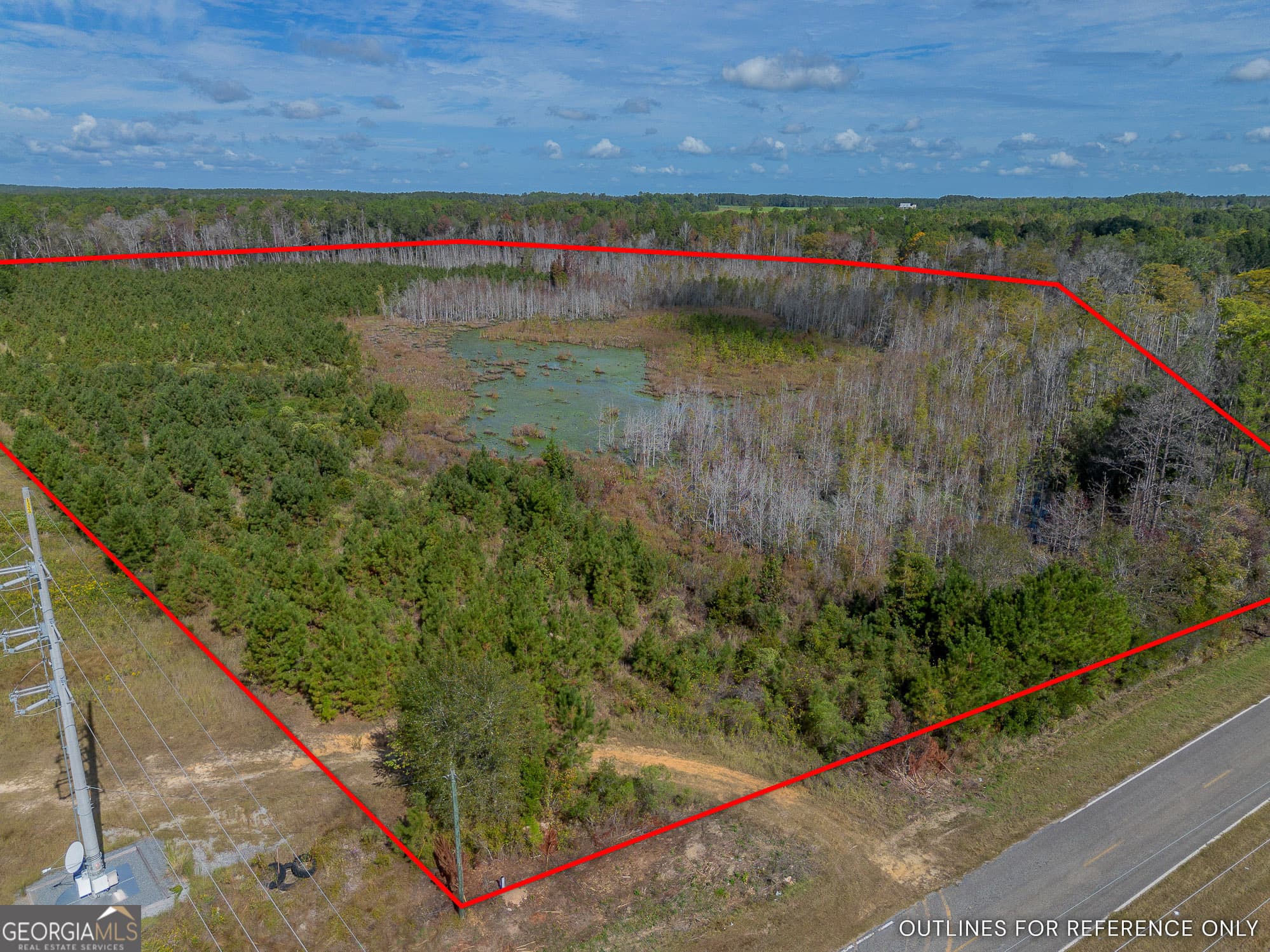 agriculture for sale at TRACT 1 Kinnett Road, Jacksonville, GA 31544 — photo 2