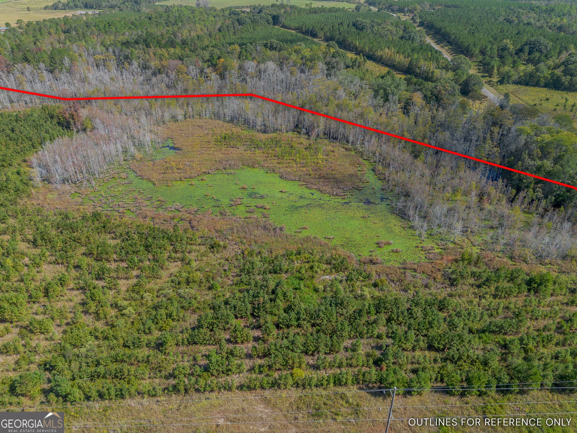 agriculture for sale at TRACT 1 Kinnett Road, Jacksonville, GA 31544 — photo 6