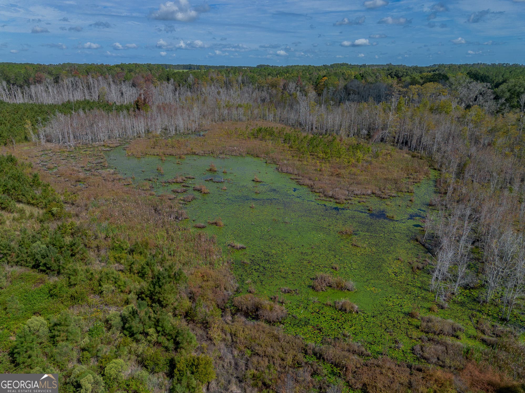 agriculture for sale at TRACT 1 Kinnett Road, Jacksonville, GA 31544 — photo 7