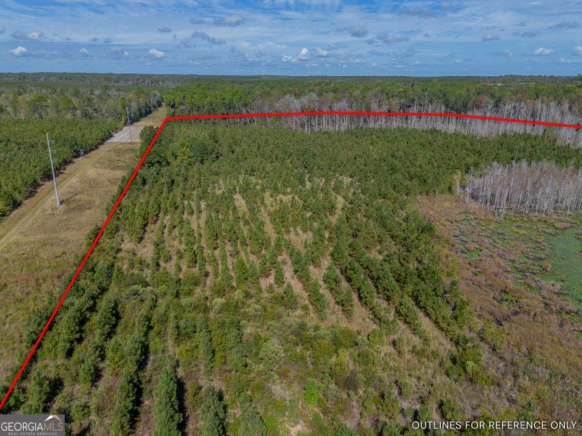 agriculture for sale at TRACT 1 Kinnett Road, Jacksonville, GA 31544 — photo 3
