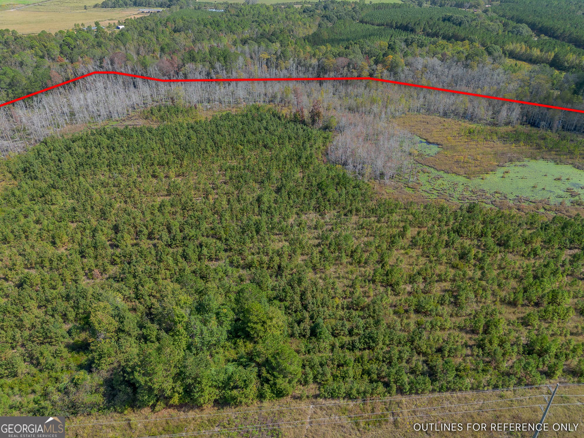 agriculture for sale at TRACT 1 Kinnett Road, Jacksonville, GA 31544 — photo 5