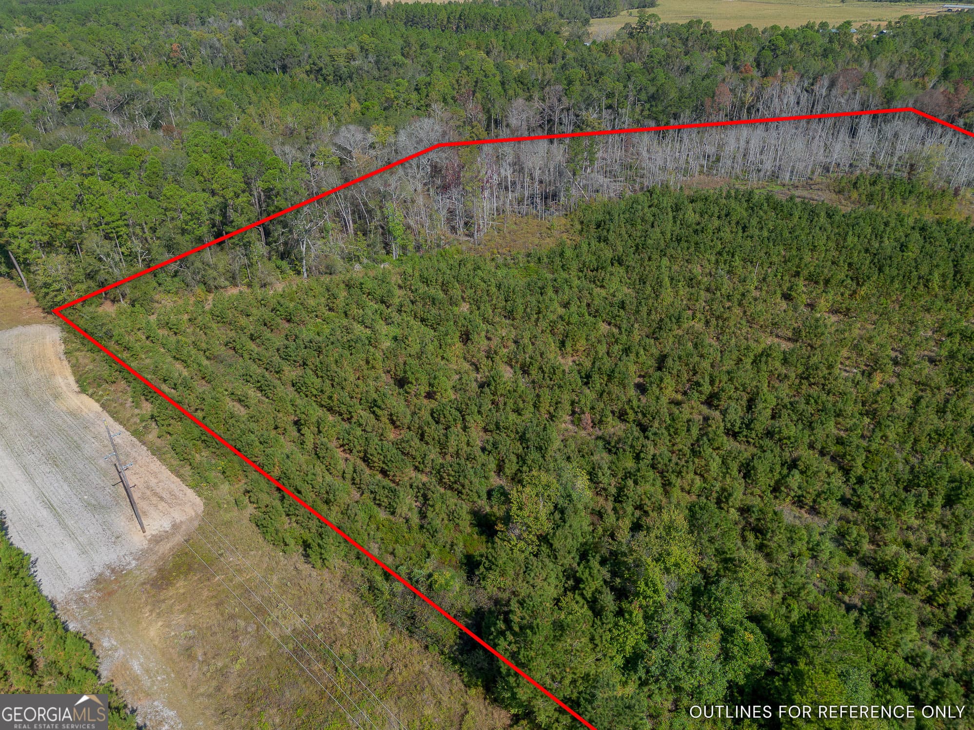 agriculture for sale at TRACT 1 Kinnett Road, Jacksonville, GA 31544 — photo 4