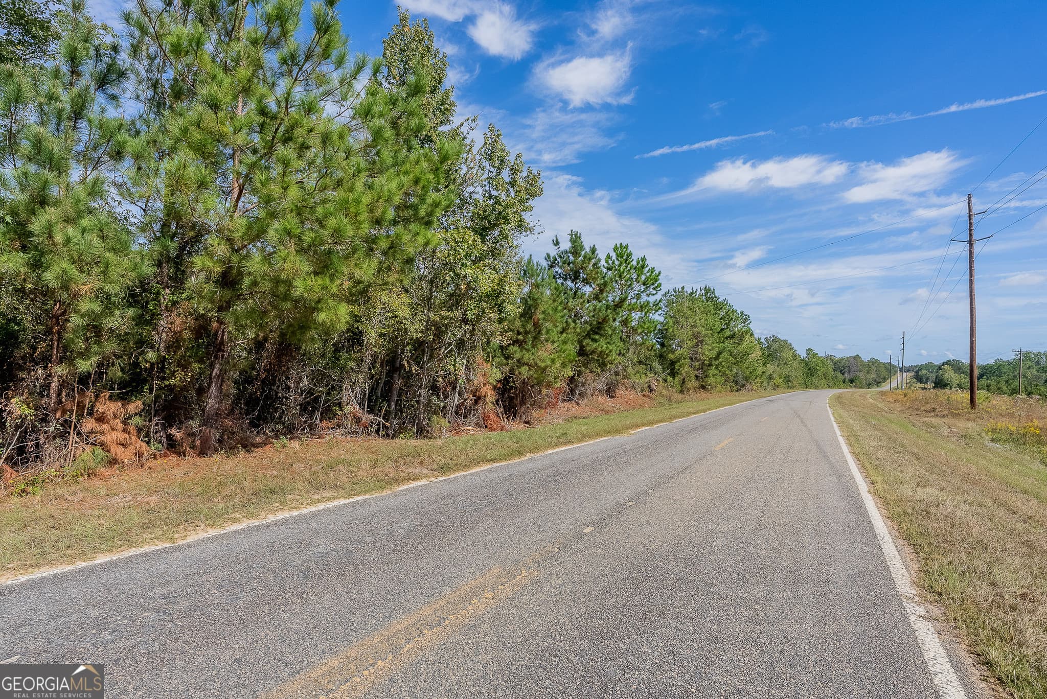 agriculture for sale at TRACT 1 Kinnett Road, Jacksonville, GA 31544 — photo 8
