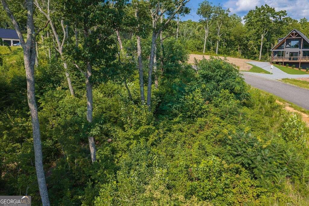 residential lot for sale at LOT 93 Timberline Trail 93, Talking Rock, GA 30175 — photo 2