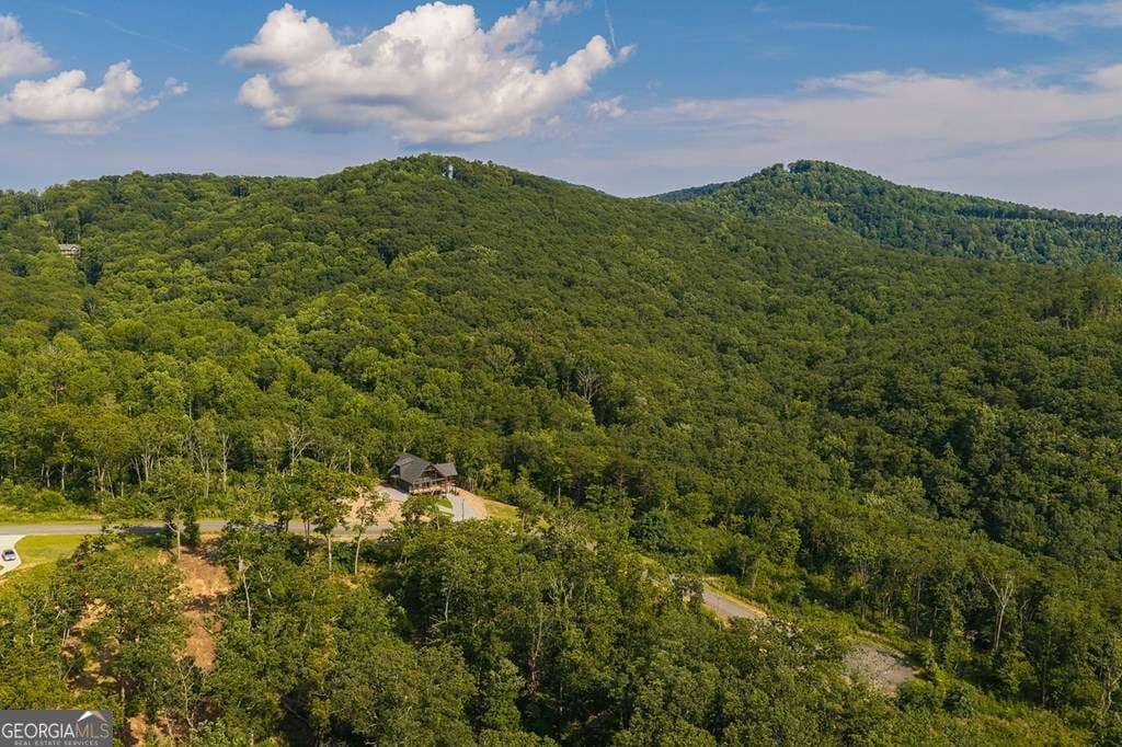 residential lot for sale at LOT 93 Timberline Trail 93, Talking Rock, GA 30175 — photo 6