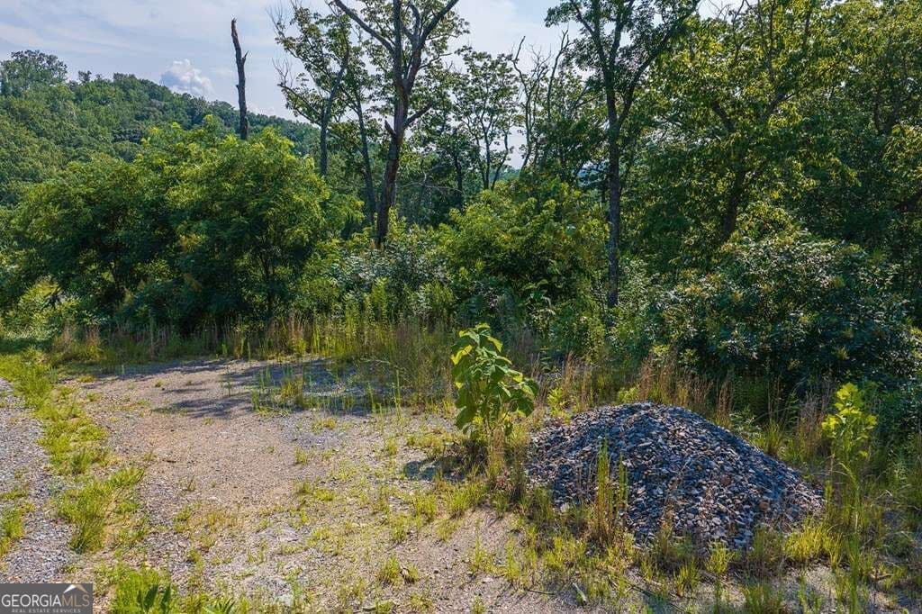 residential lot for sale at LOT 93 Timberline Trail 93, Talking Rock, GA 30175 — photo 7