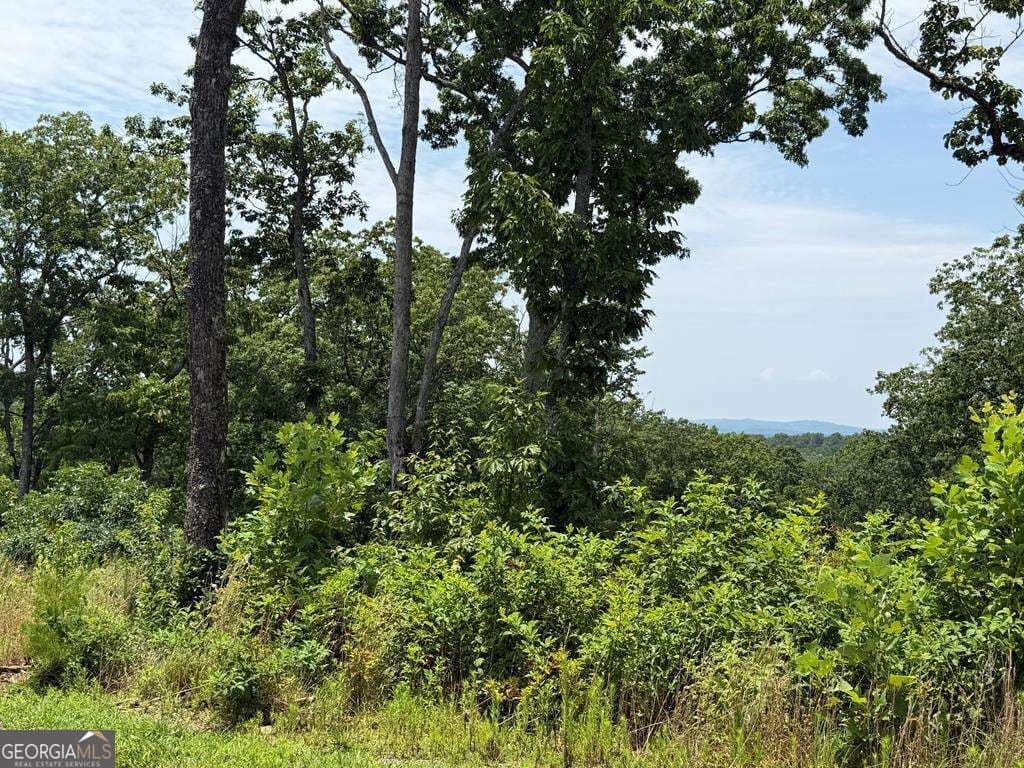 residential lot for sale at LOT 93 Timberline Trail 93, Talking Rock, GA 30175 — photo 1 of 24