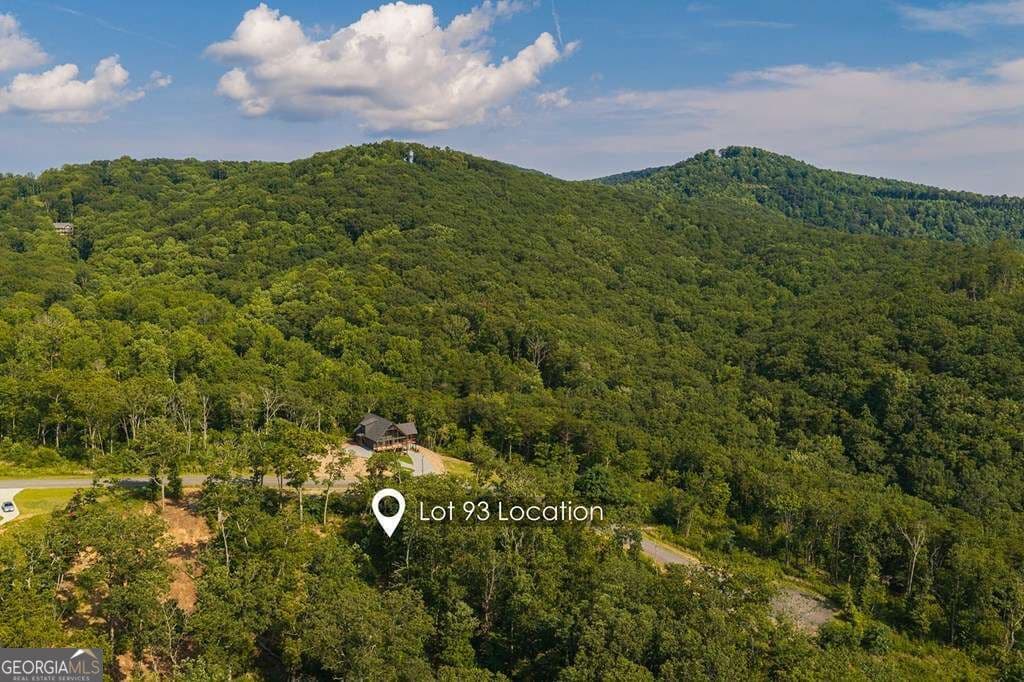 residential lot for sale at LOT 93 Timberline Trail 93, Talking Rock, GA 30175 — photo 5