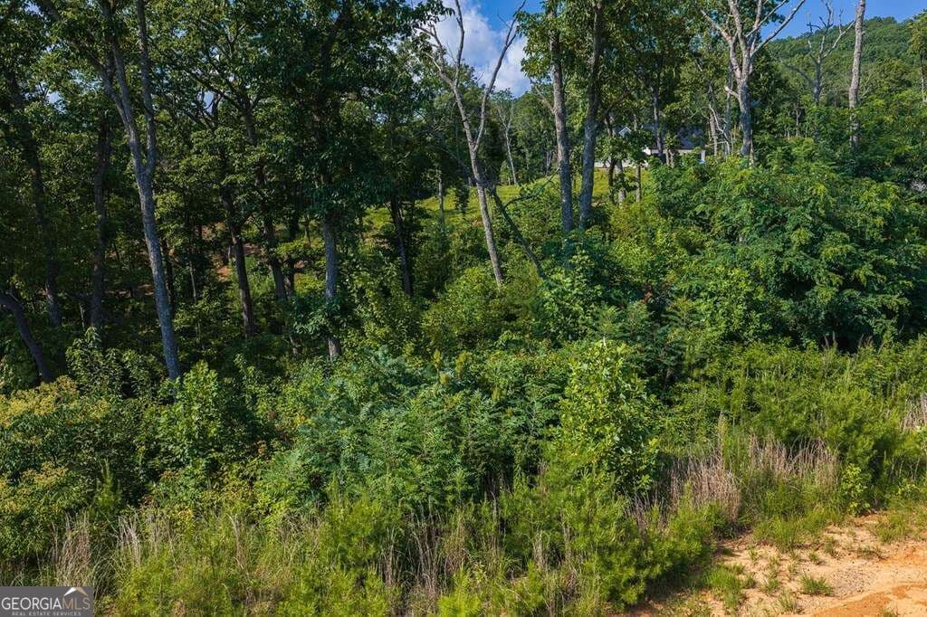 residential lot for sale at LOT 93 Timberline Trail 93, Talking Rock, GA 30175 — photo 9