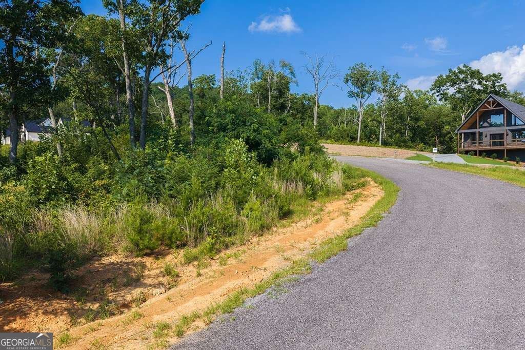residential lot for sale at LOT 93 Timberline Trail 93, Talking Rock, GA 30175 — photo 10