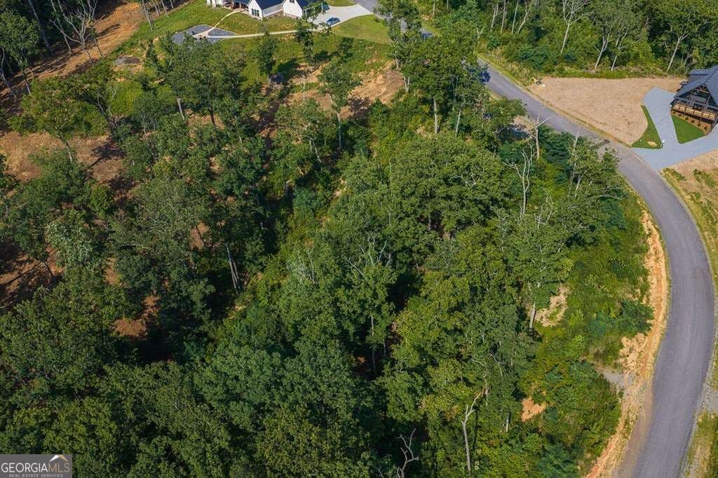 residential lot for sale at LOT 93 Timberline Trail 93, Talking Rock, GA 30175 — photo 4