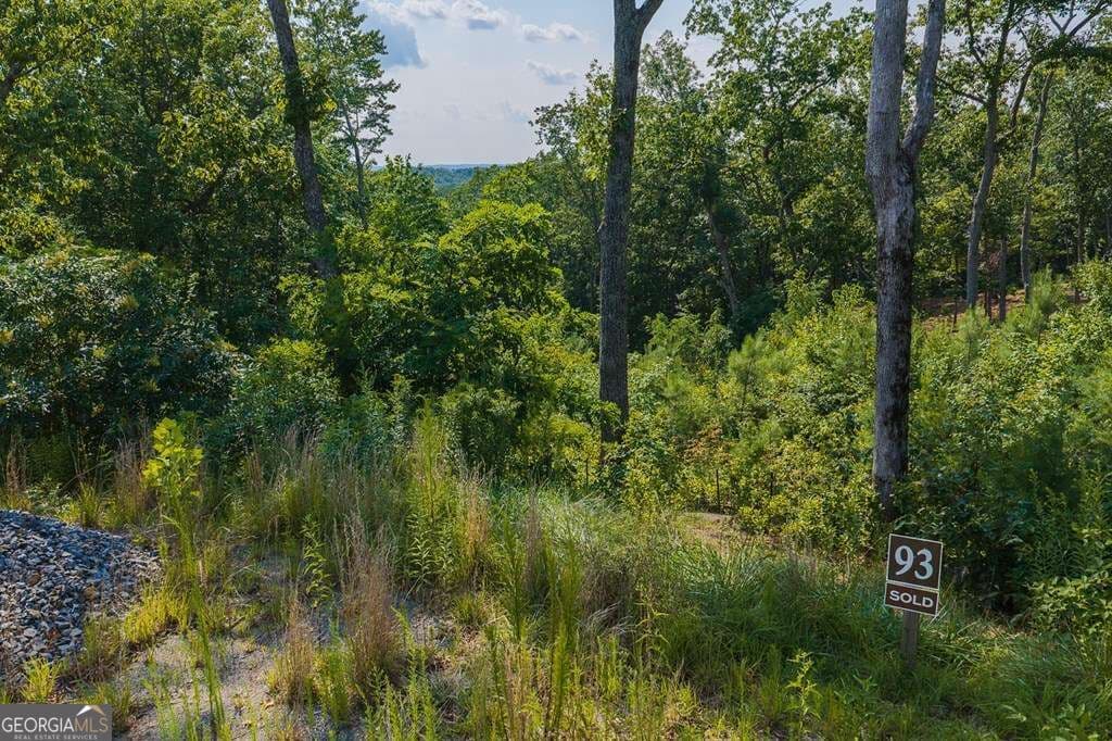 residential lot for sale at LOT 93 Timberline Trail 93, Talking Rock, GA 30175 — photo 8