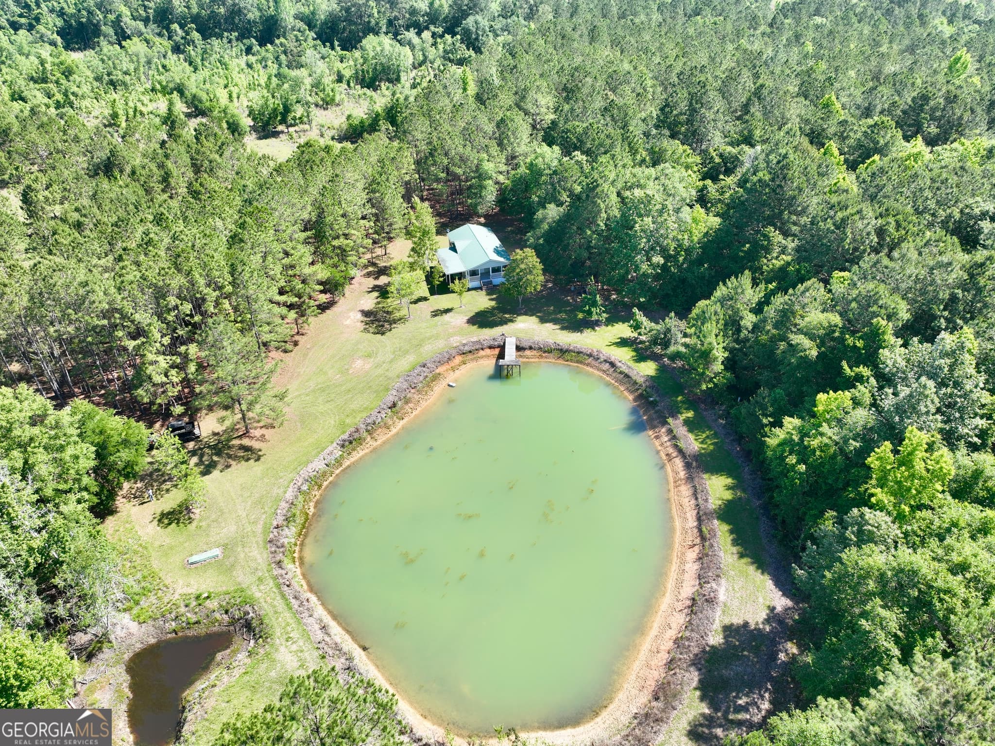 769 Mount Olive Church Road, Eastman, GA 31023 — most recent listing photo