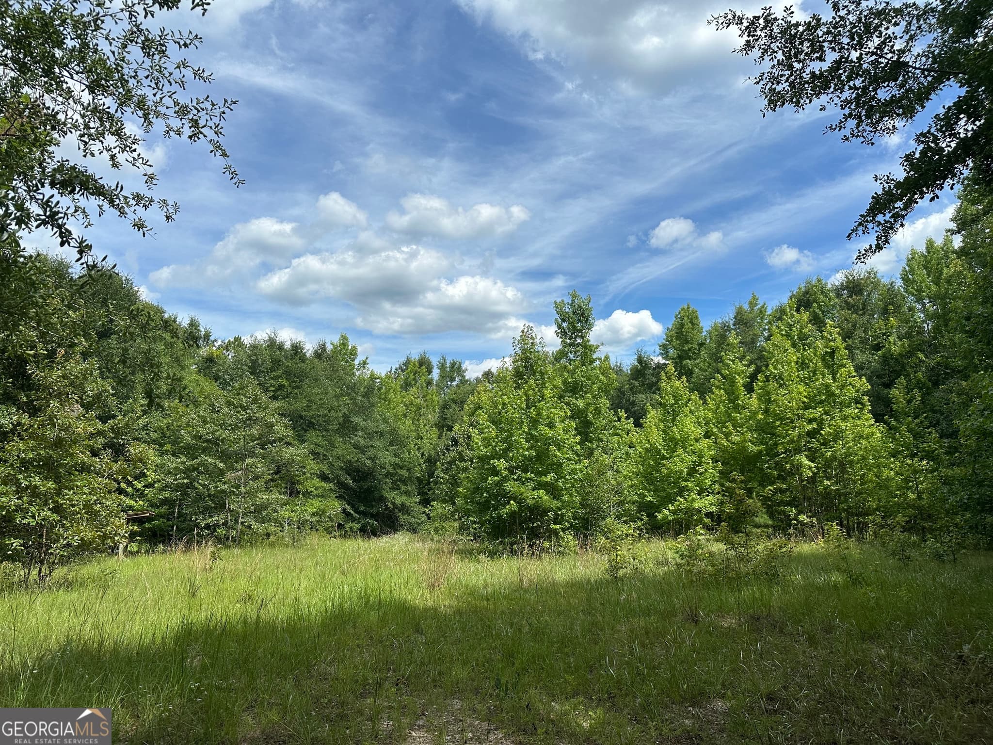 agriculture for sale at 699 GA Highway 96, Irwinton, GA 31042 — photo 2