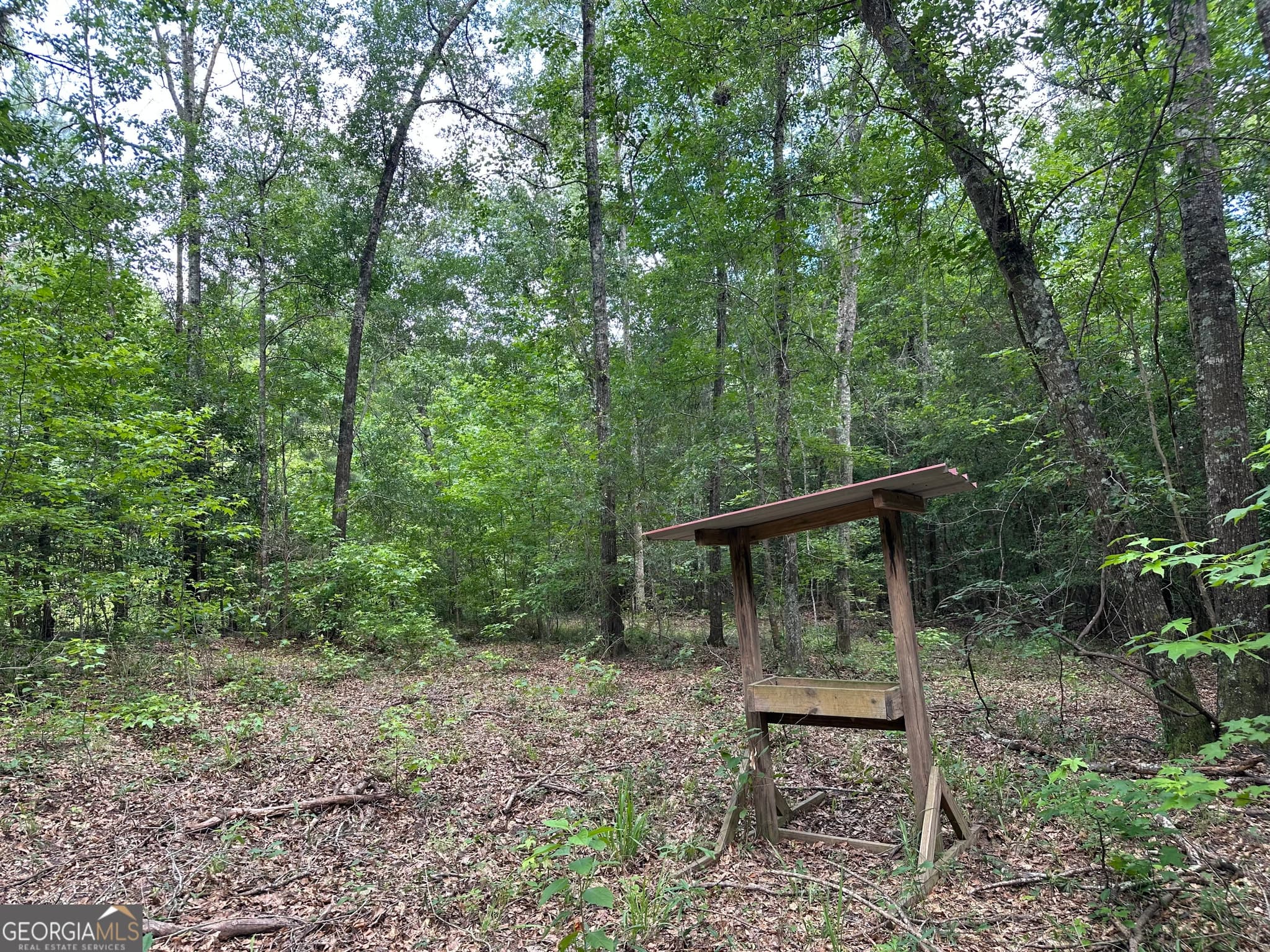 agriculture for sale at 699 GA Highway 96, Irwinton, GA 31042 — photo 3