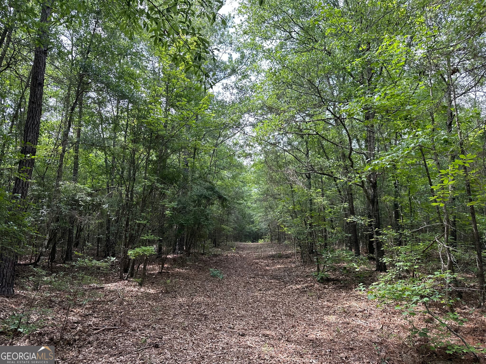 agriculture for sale at 699 GA Highway 96, Irwinton, GA 31042 — photo 5