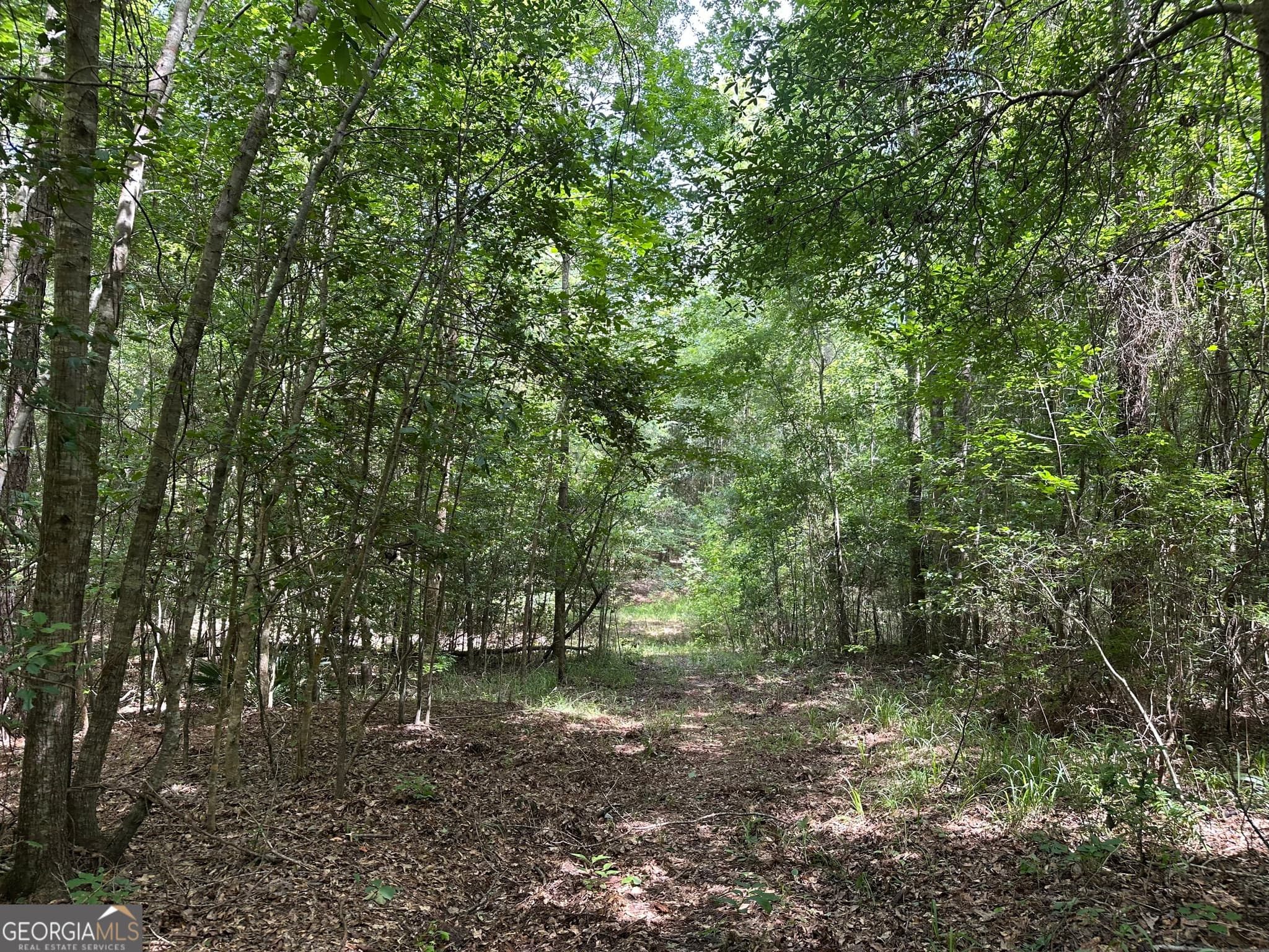 agriculture for sale at 699 GA Highway 96, Irwinton, GA 31042 — photo 9