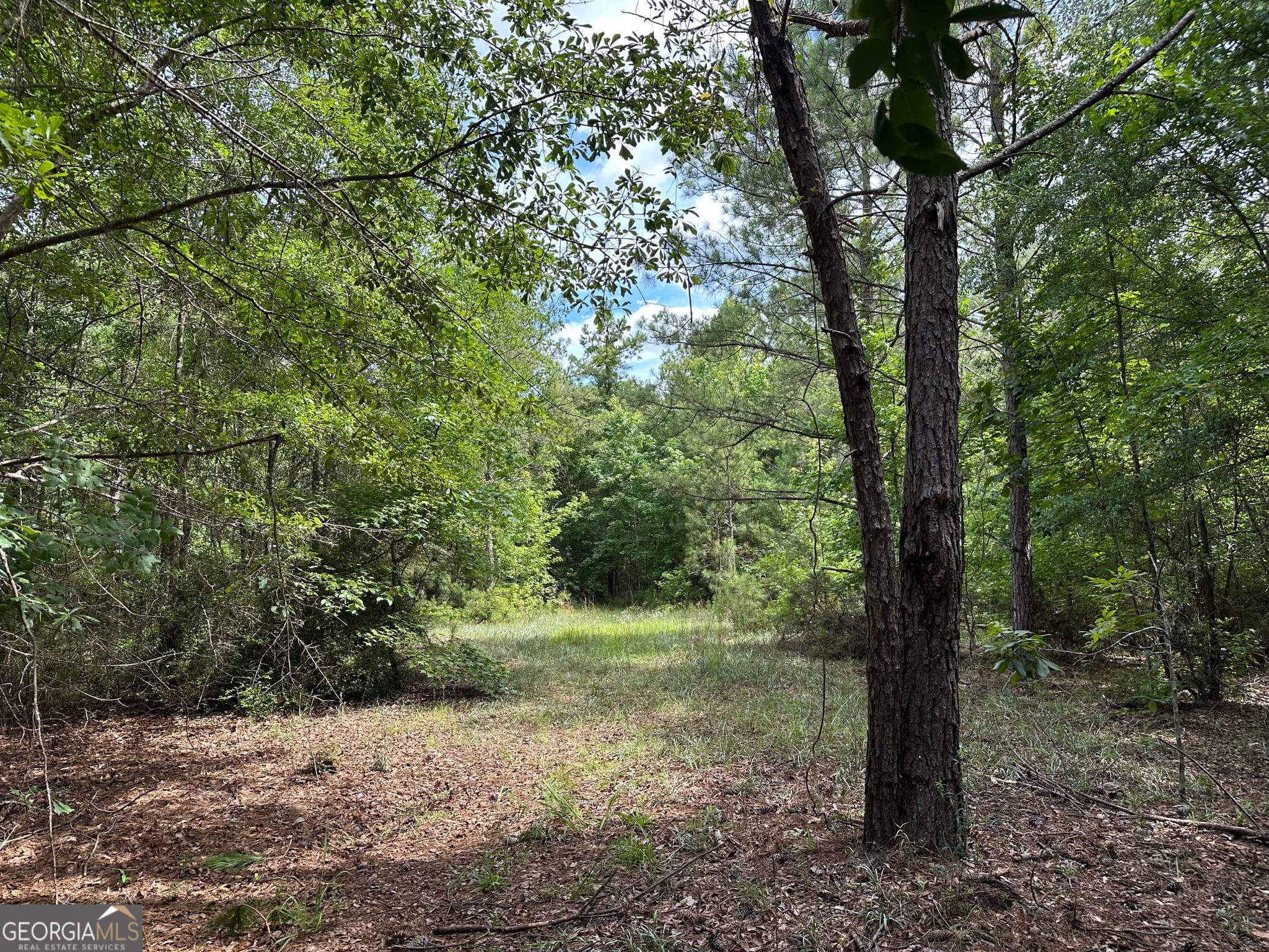 agriculture for sale at 699 GA Highway 96, Irwinton, GA 31042 — photo 10