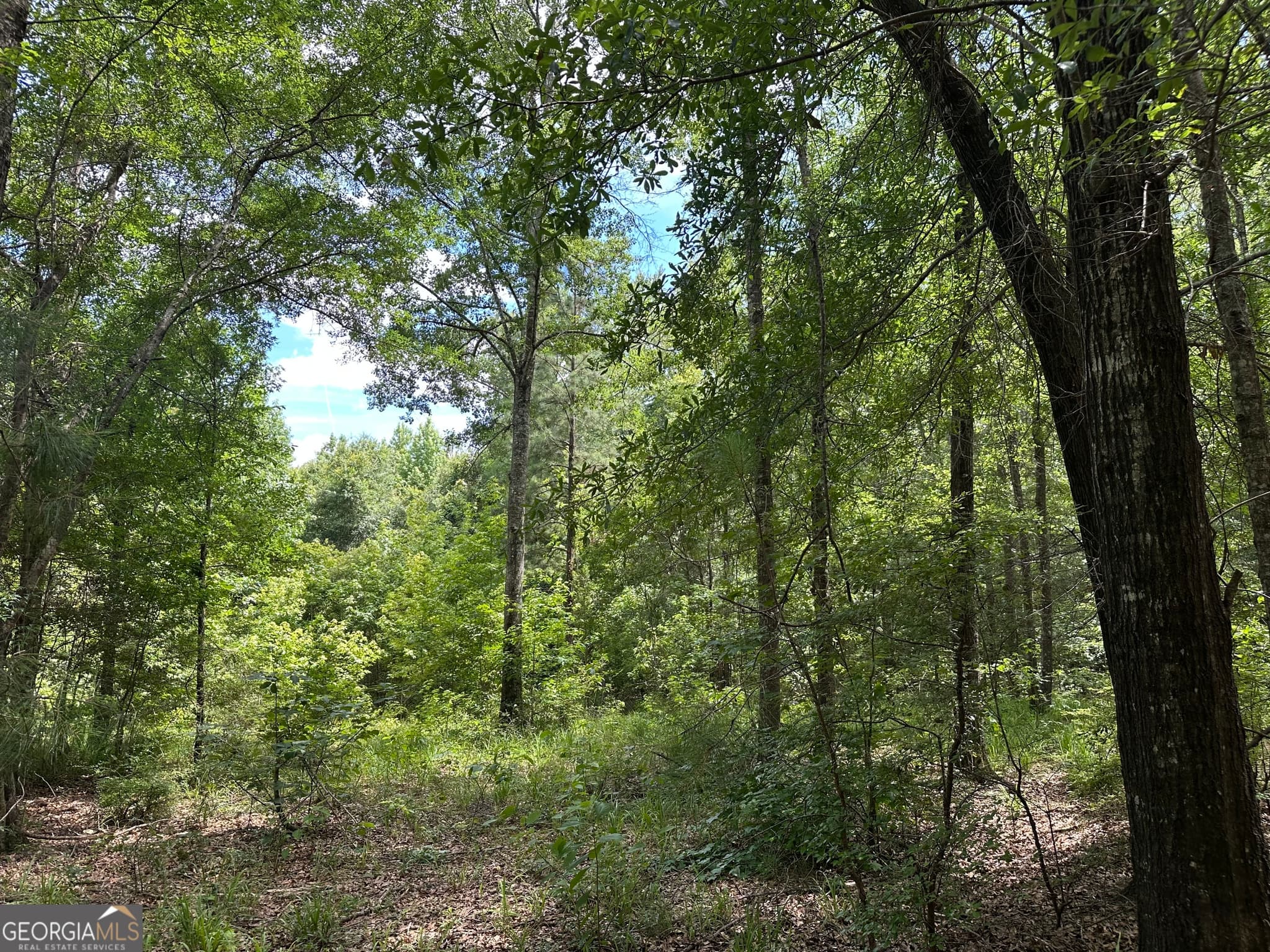 agriculture for sale at 699 GA Highway 96, Irwinton, GA 31042 — photo 4