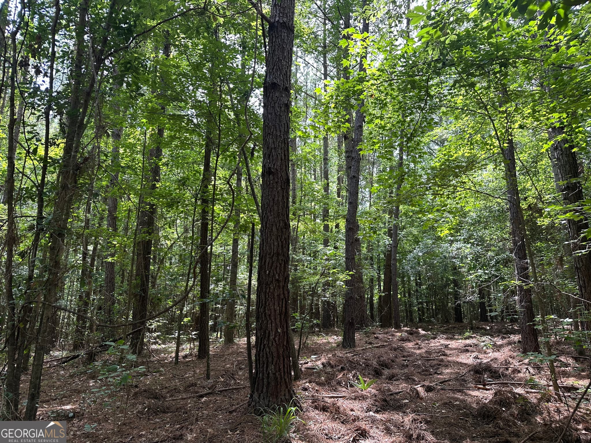 agriculture for sale at 699 GA Highway 96, Irwinton, GA 31042 — photo 8