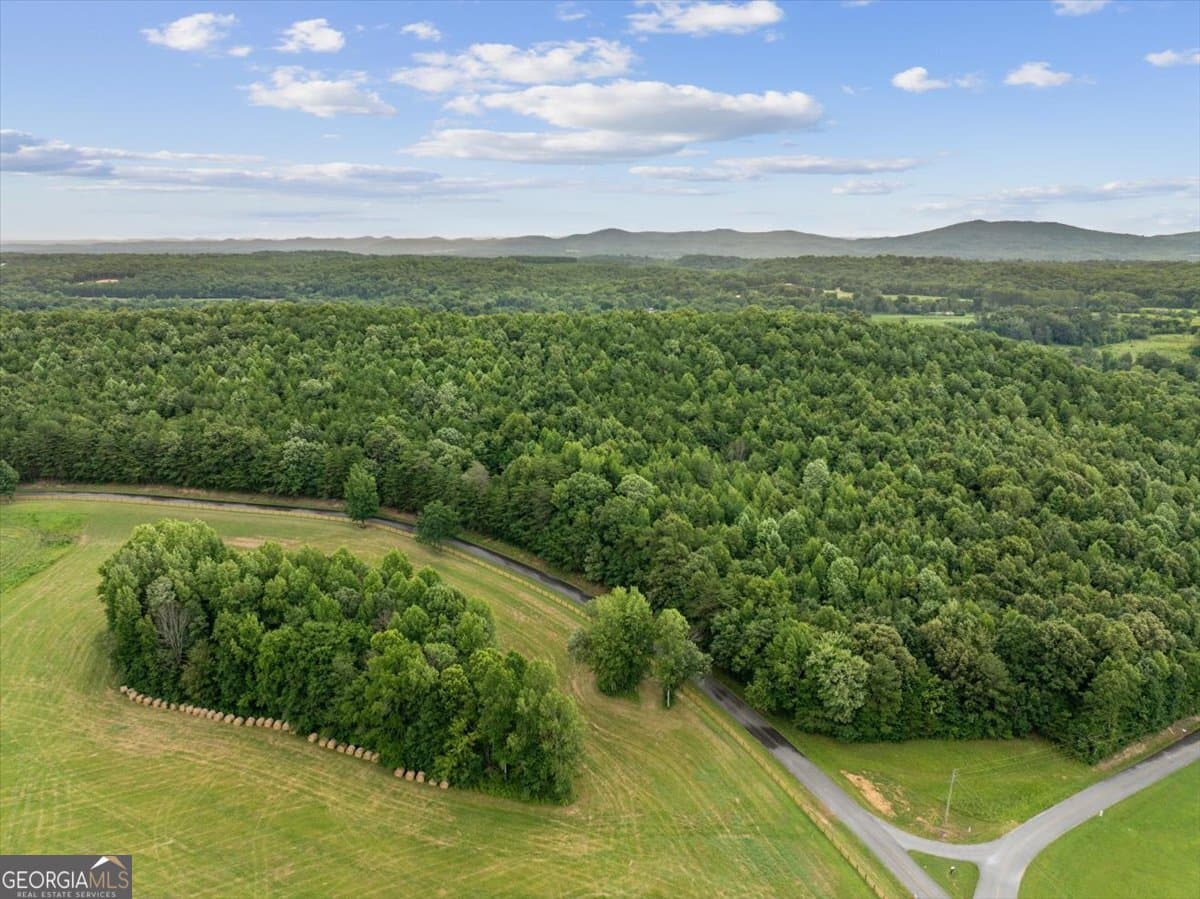 unimproved land for sale at 0 Fricks Gap Road LOT #5, Chickamauga, GA 30707 — photo 2