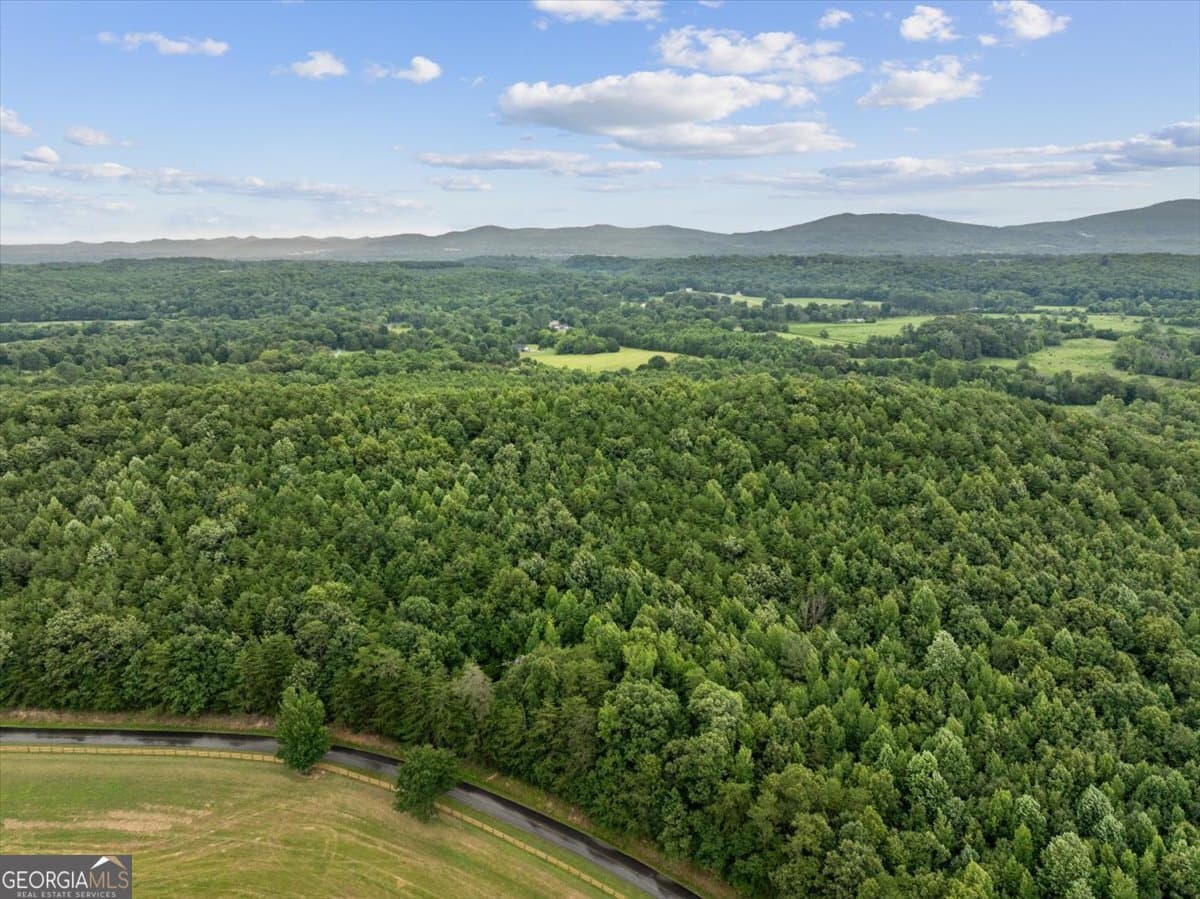 unimproved land for sale at 0 Fricks Gap Road LOT #5, Chickamauga, GA 30707 — photo 7