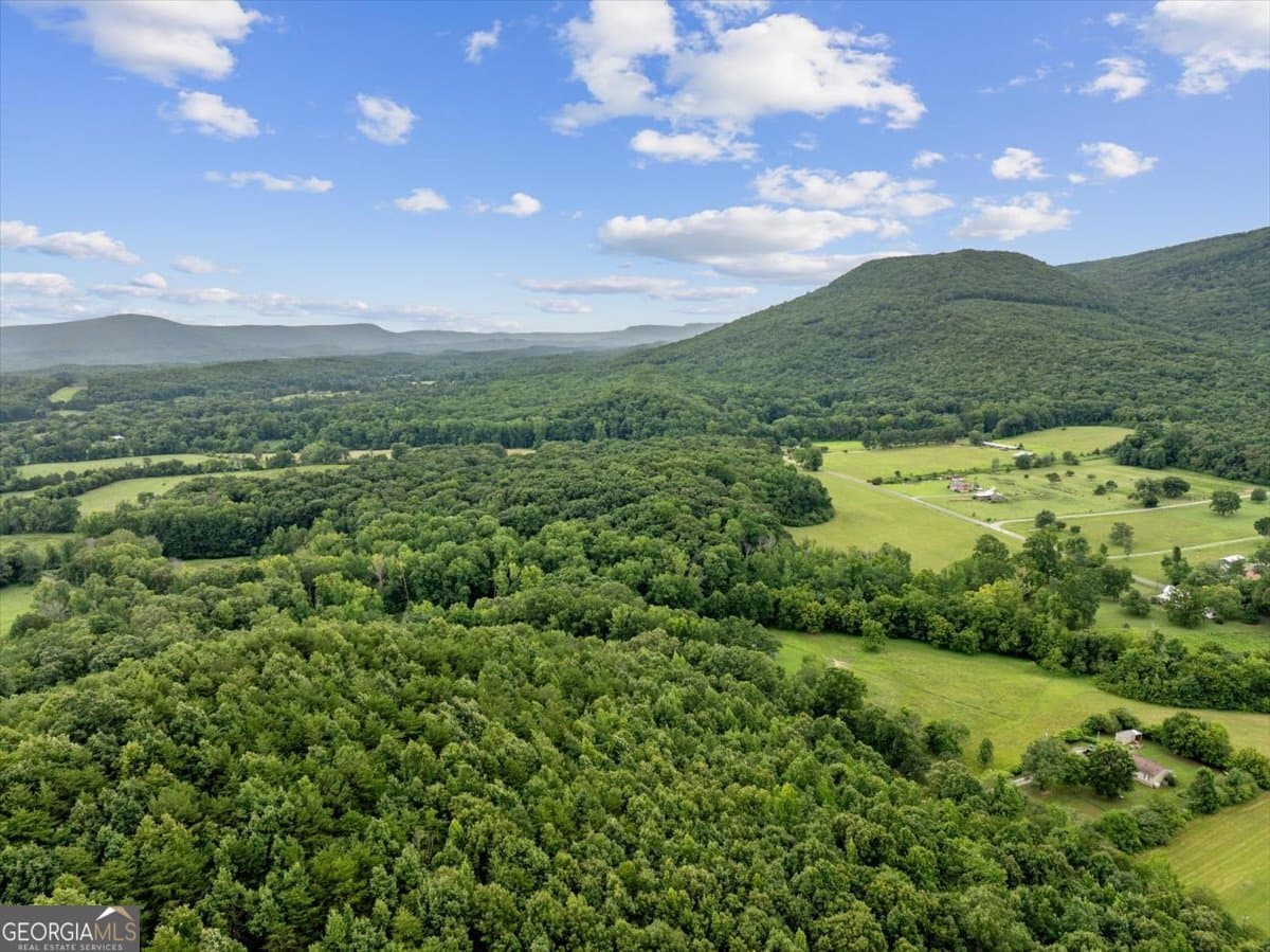 unimproved land for sale at 0 Fricks Gap Road LOT #5, Chickamauga, GA 30707 — photo 5