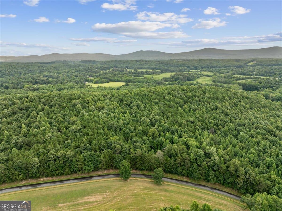unimproved land for sale at 0 Fricks Gap Road LOT #5, Chickamauga, GA 30707 — photo 9