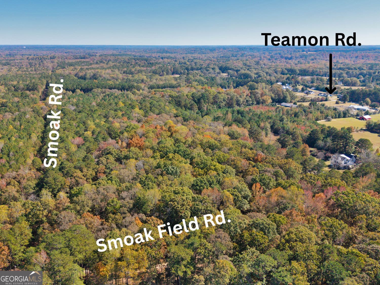 unimproved land for sale at 176 Smoak Field Road, Griffin, GA 30223 — photo 2