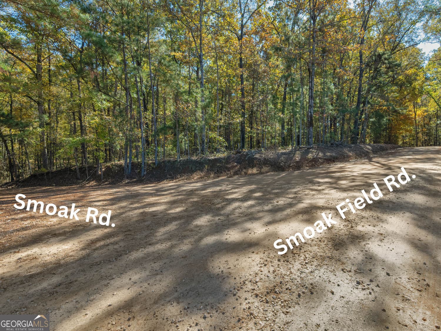 unimproved land for sale at 176 Smoak Field Road, Griffin, GA 30223 — photo 6
