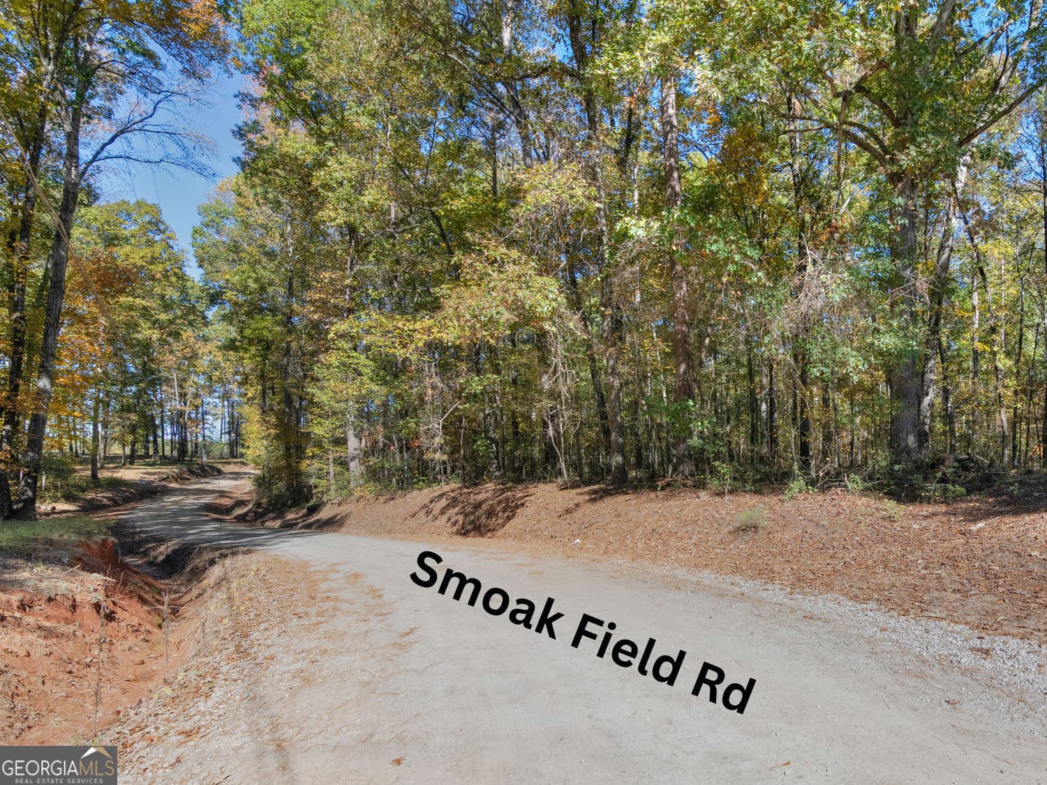 unimproved land for sale at 176 Smoak Field Road, Griffin, GA 30223 — photo 7