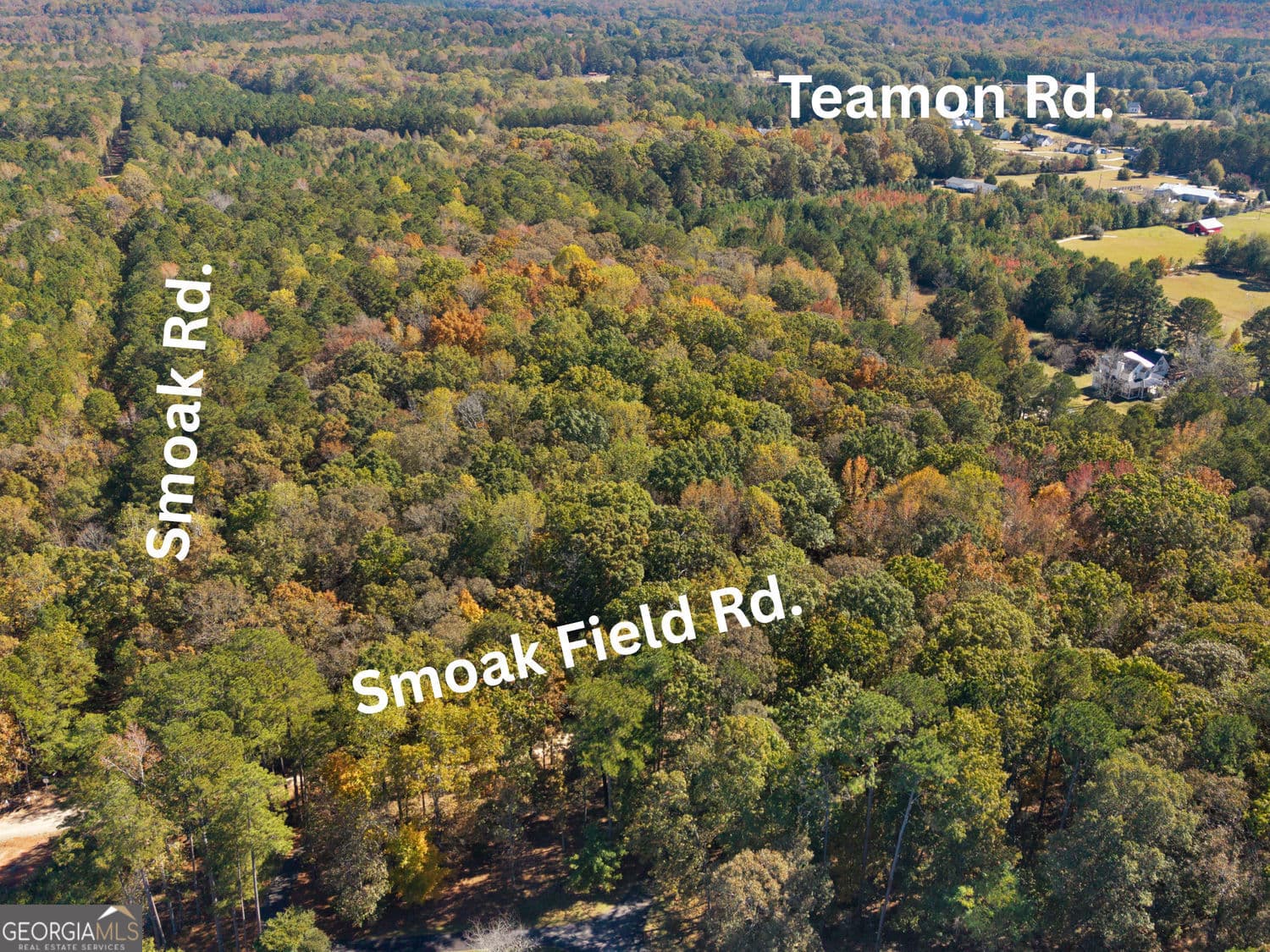 unimproved land for sale at 176 Smoak Field Road, Griffin, GA 30223 — photo 3