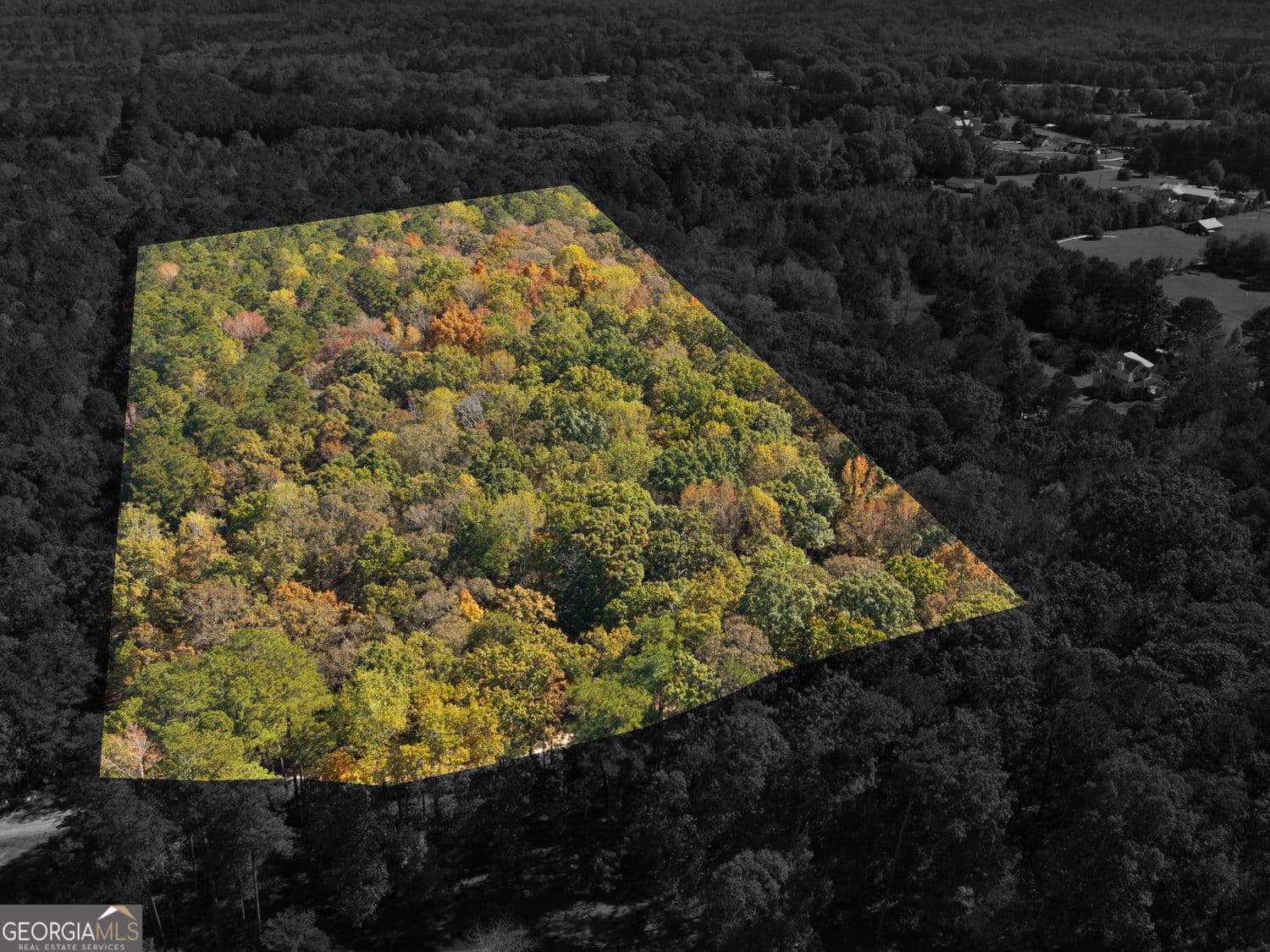 unimproved land for sale at 176 Smoak Field Road, Griffin, GA 30223 — photo 1 of 13