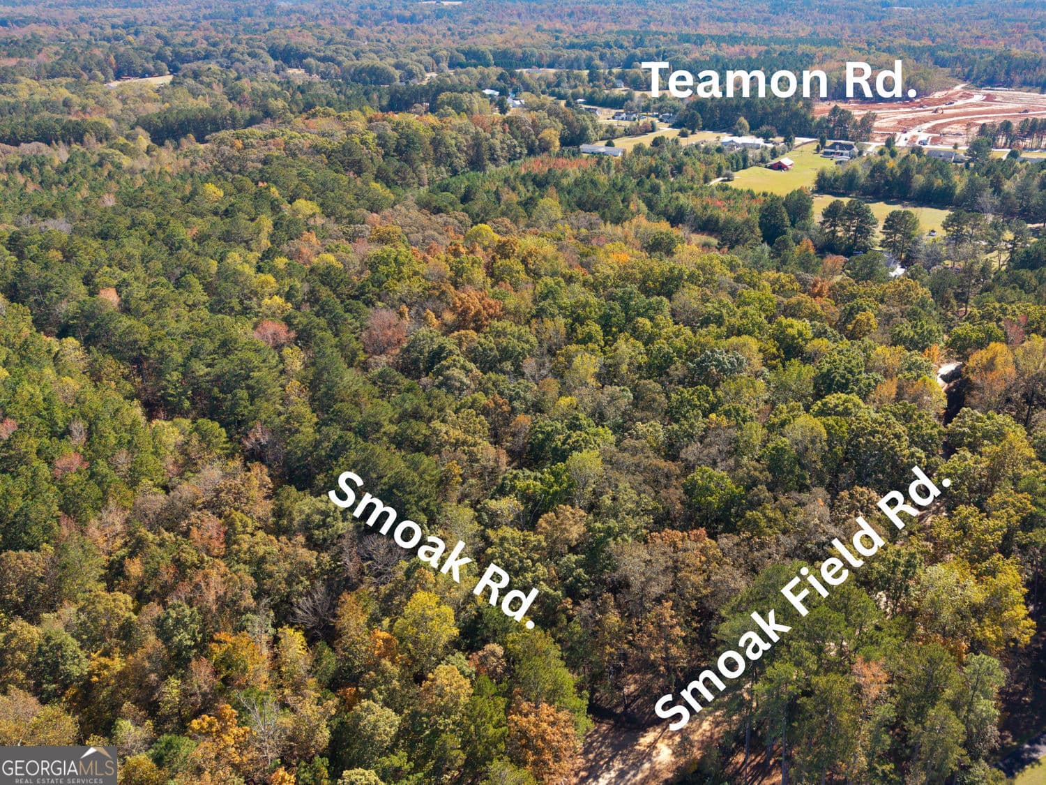 unimproved land for sale at 176 Smoak Field Road, Griffin, GA 30223 — photo 5