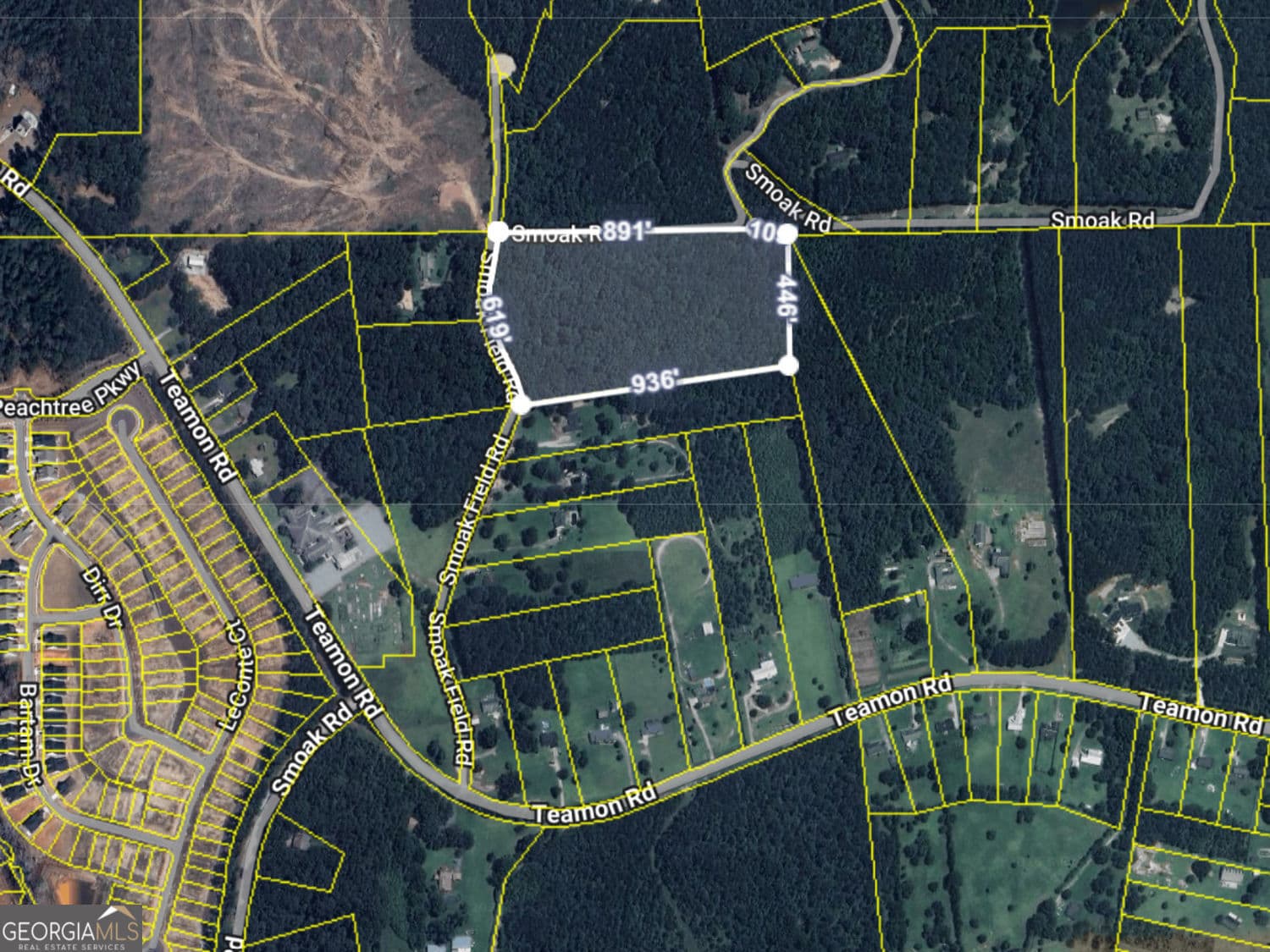 unimproved land for sale at 176 Smoak Field Road, Griffin, GA 30223 — photo 10