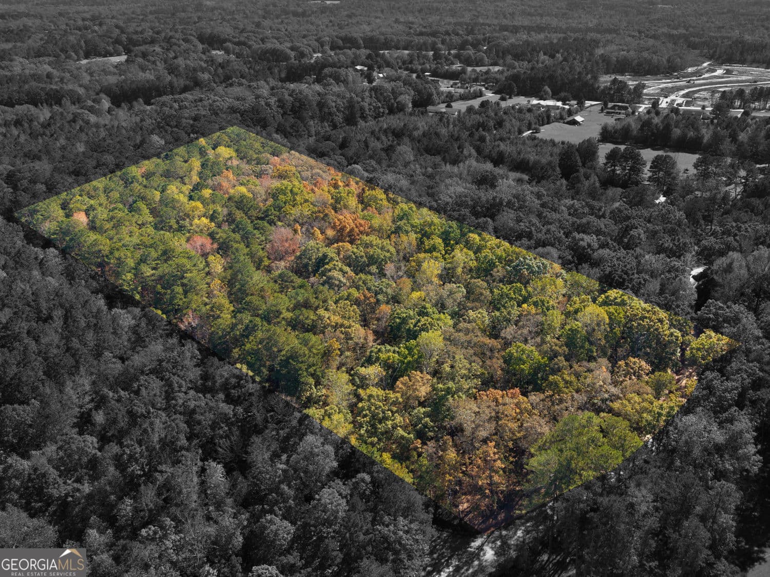 unimproved land for sale at 176 Smoak Field Road, Griffin, GA 30223 — photo 4