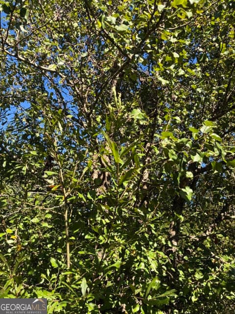 residential lot for sale at 4095 O Henry Court, Mcdonough, GA 30252 — photo 6