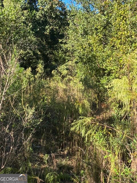 residential lot for sale at 4095 O Henry Court, Mcdonough, GA 30252 — photo 5