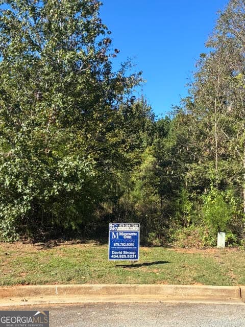 residential lot for sale at 4095 O Henry Court, Mcdonough, GA 30252 — photo 4