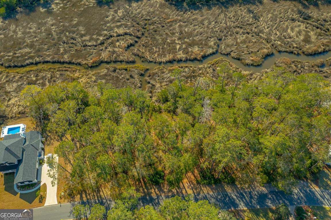 unimproved land for sale at 119 Rice Mill, St. Simons, GA 31522 — photo 6